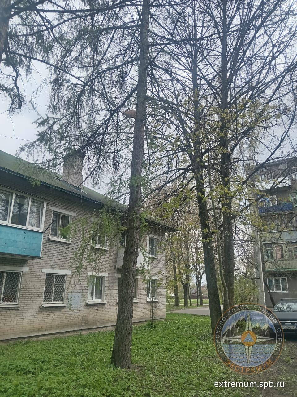 IMG-20250510-WA0004.jpg