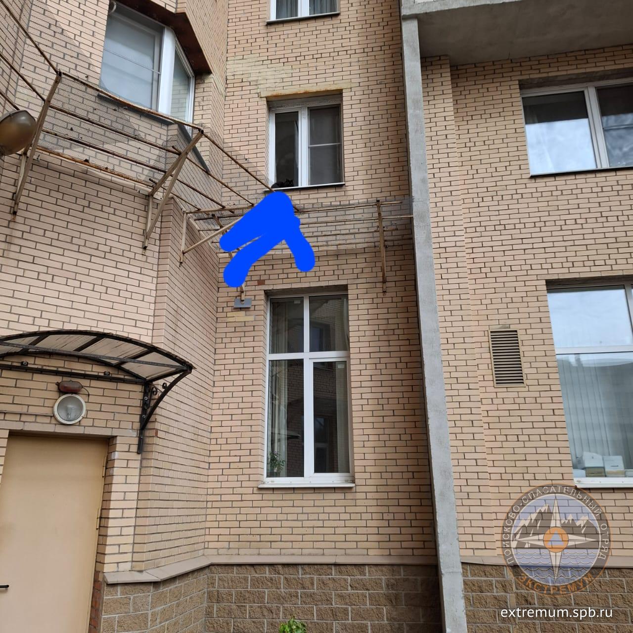 поликарпова 1 .jpg