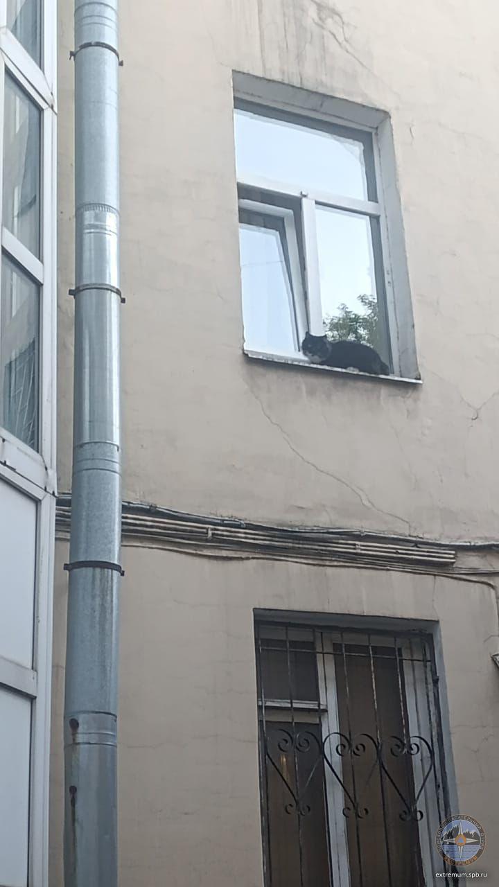 рижский2 .jpg