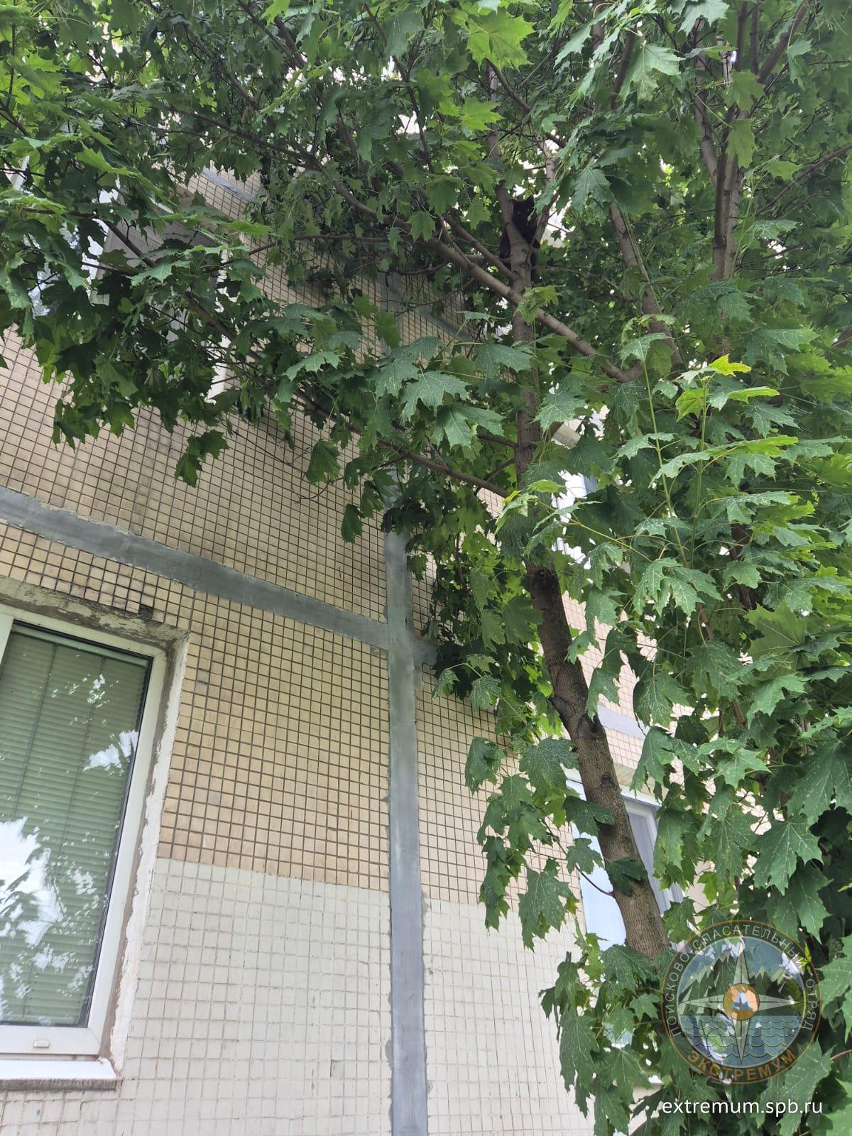 IMG-20250628-WA0009.jpg