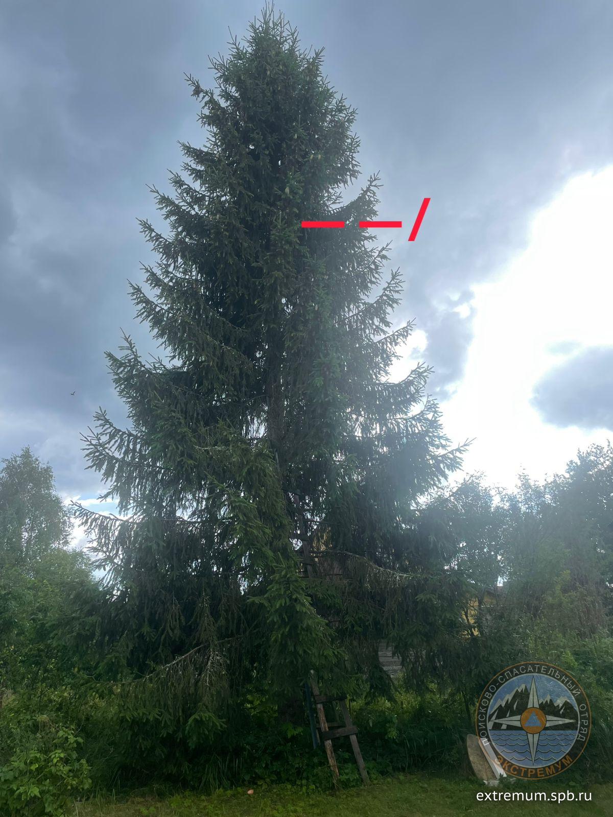 WhatsApp Image 2025-08-05 at 15.51.16.jpeg