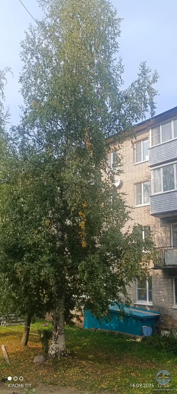 под1.jpg