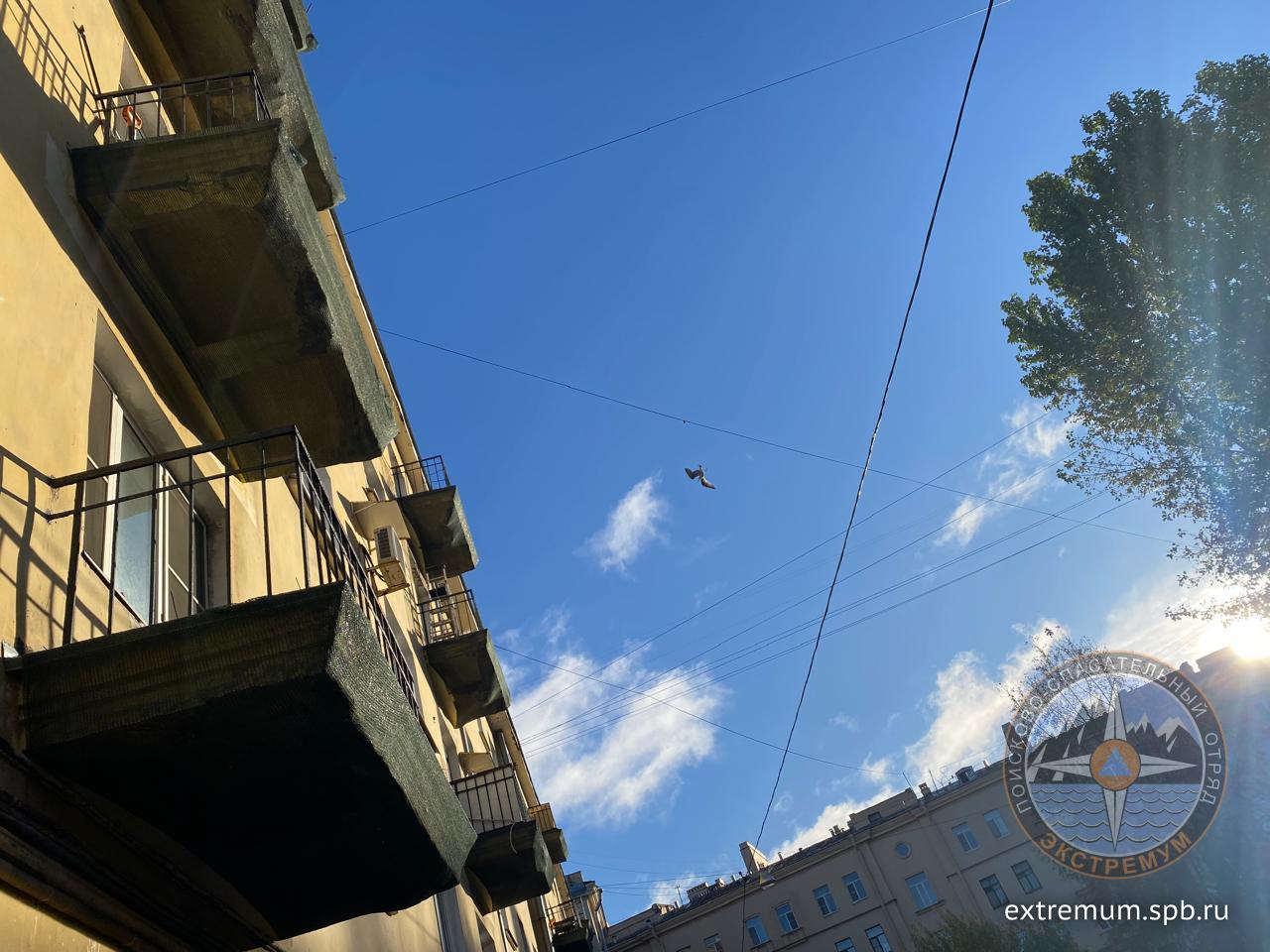 WhatsApp Image 2025-10-12 at 10.02.14.jpeg