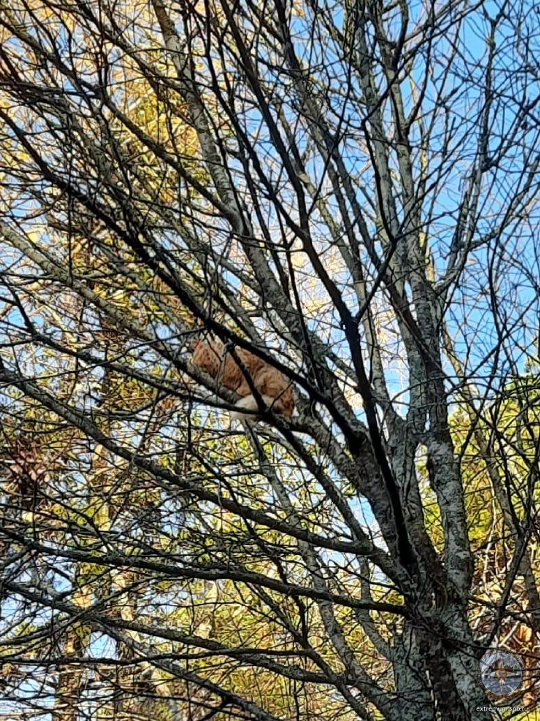 WhatsApp Image 2025-10-17 at 09.06.03 (1).jpeg