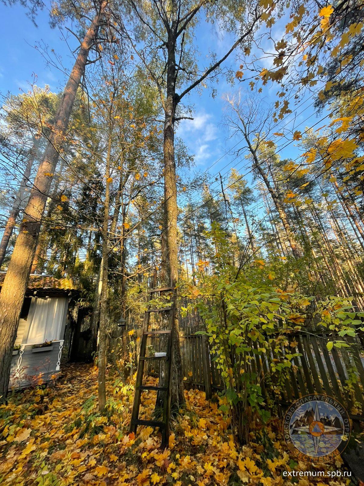 WhatsApp Image 2025-10-18 at 16.31.39.jpeg