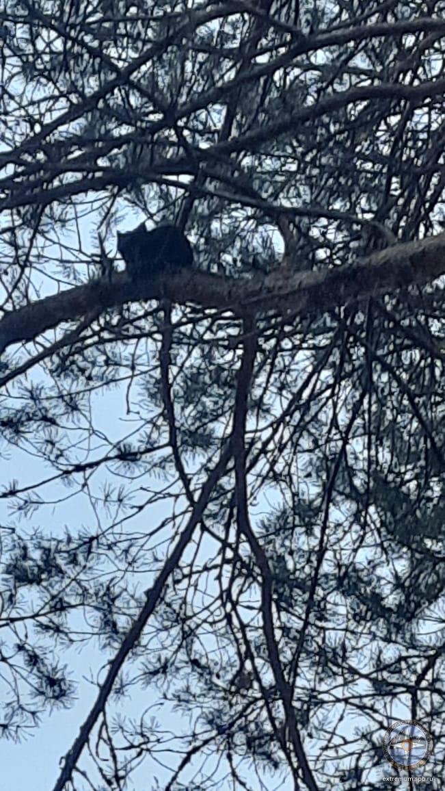 WhatsApp Image 2025-10-18 at 16.40.03.jpeg