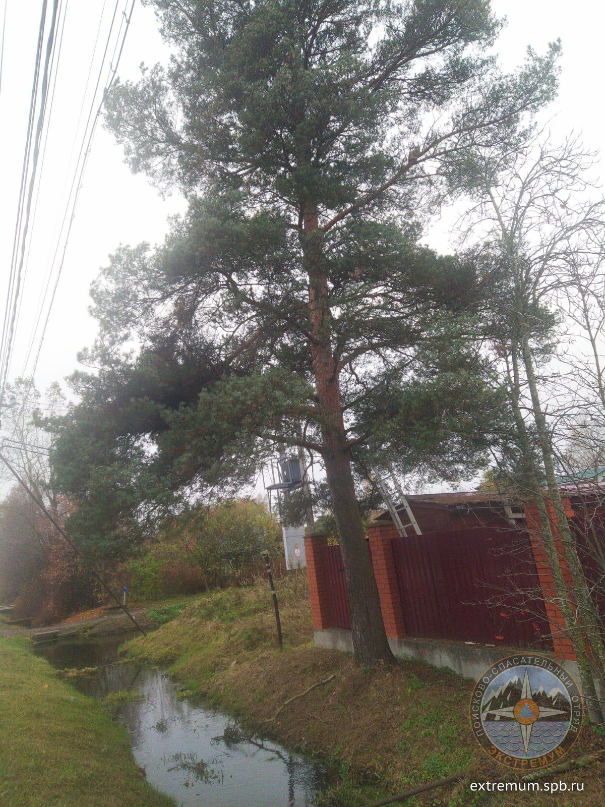 WhatsApp Image 2025-10-22 at 09.18.39.jpeg