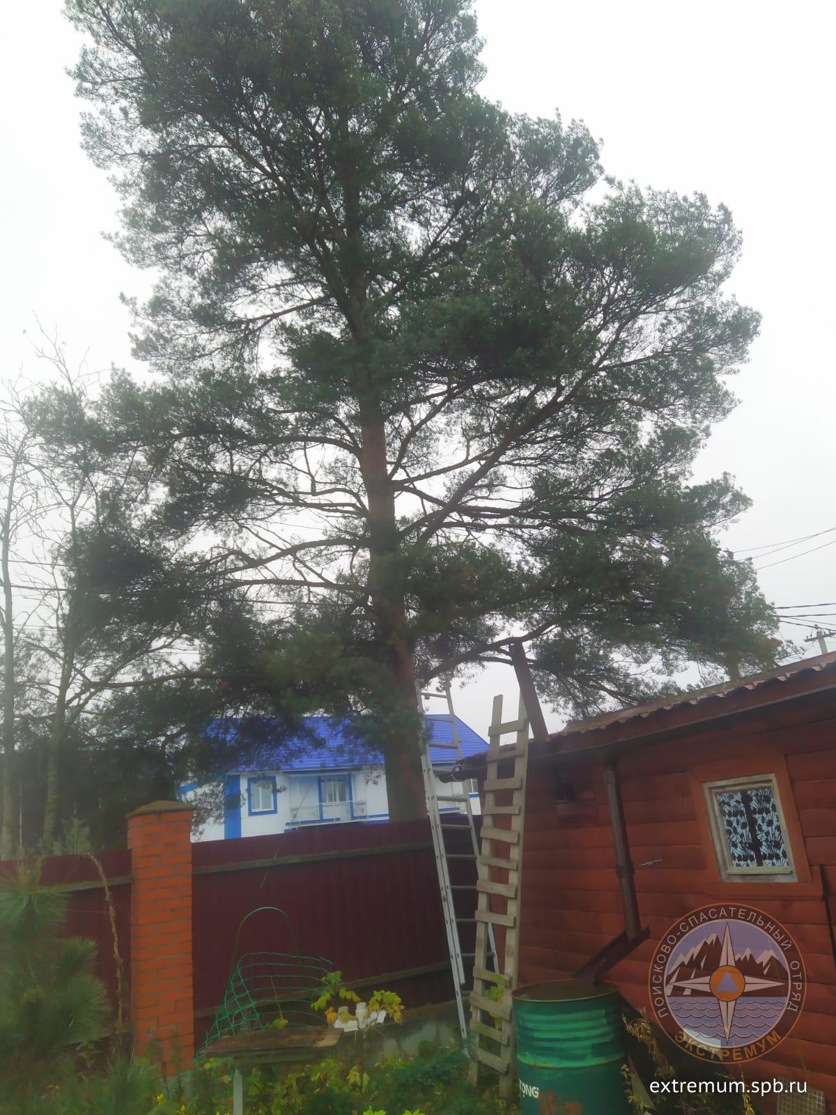 WhatsApp Image 2025-10-22 at 09.18.40.jpeg