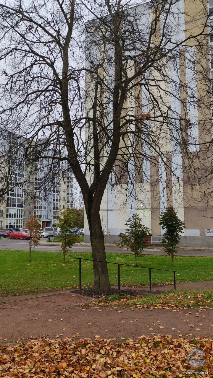 WhatsApp Image 2025-10-24 at 10.06.18.jpeg