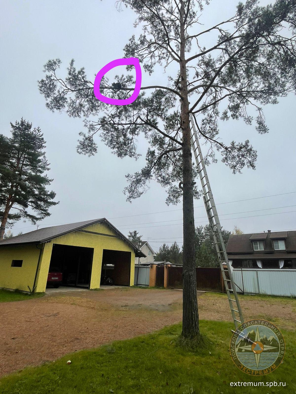 WhatsApp Image 2025-10-24 at 12.14.16.jpeg