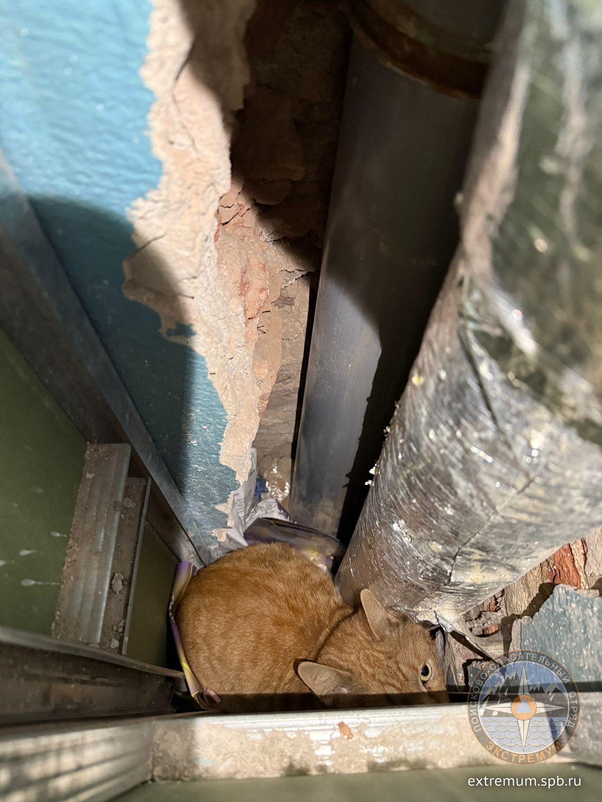 WhatsApp Image 2025-11-24 at 16.50.40.jpeg