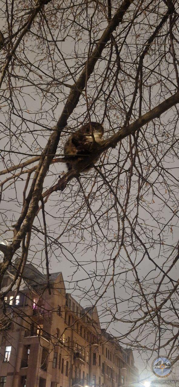 5443157490863377369 (1).jpg