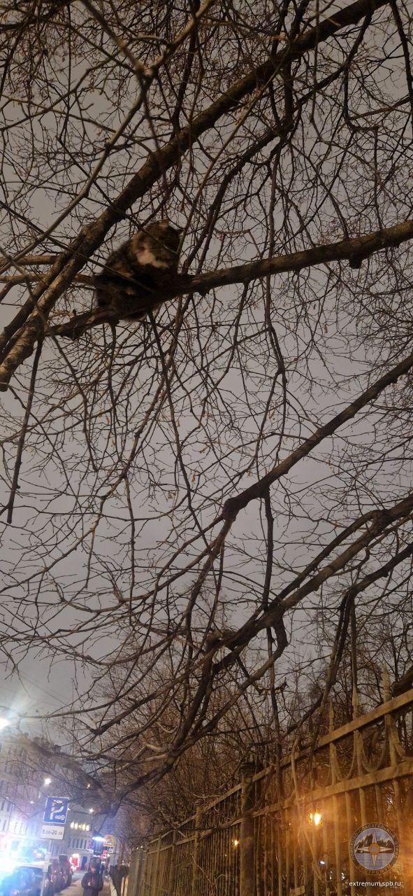 5443157490863377368 (1).jpg