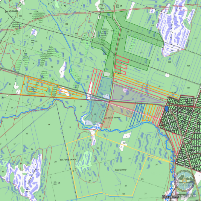 10_11.04 Ночь Планы ГГЦ и Кино.png