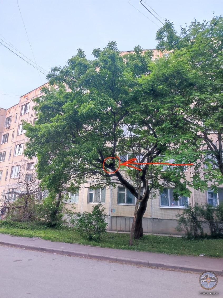IQTbXXEhZwGyk41gLEMDLsu5Y-21uZdEqvEqGeThWaPoL5iHUn729FyPwzq3cUK65SO4D2ycjNzLcboXeUkGGJPI.jpg