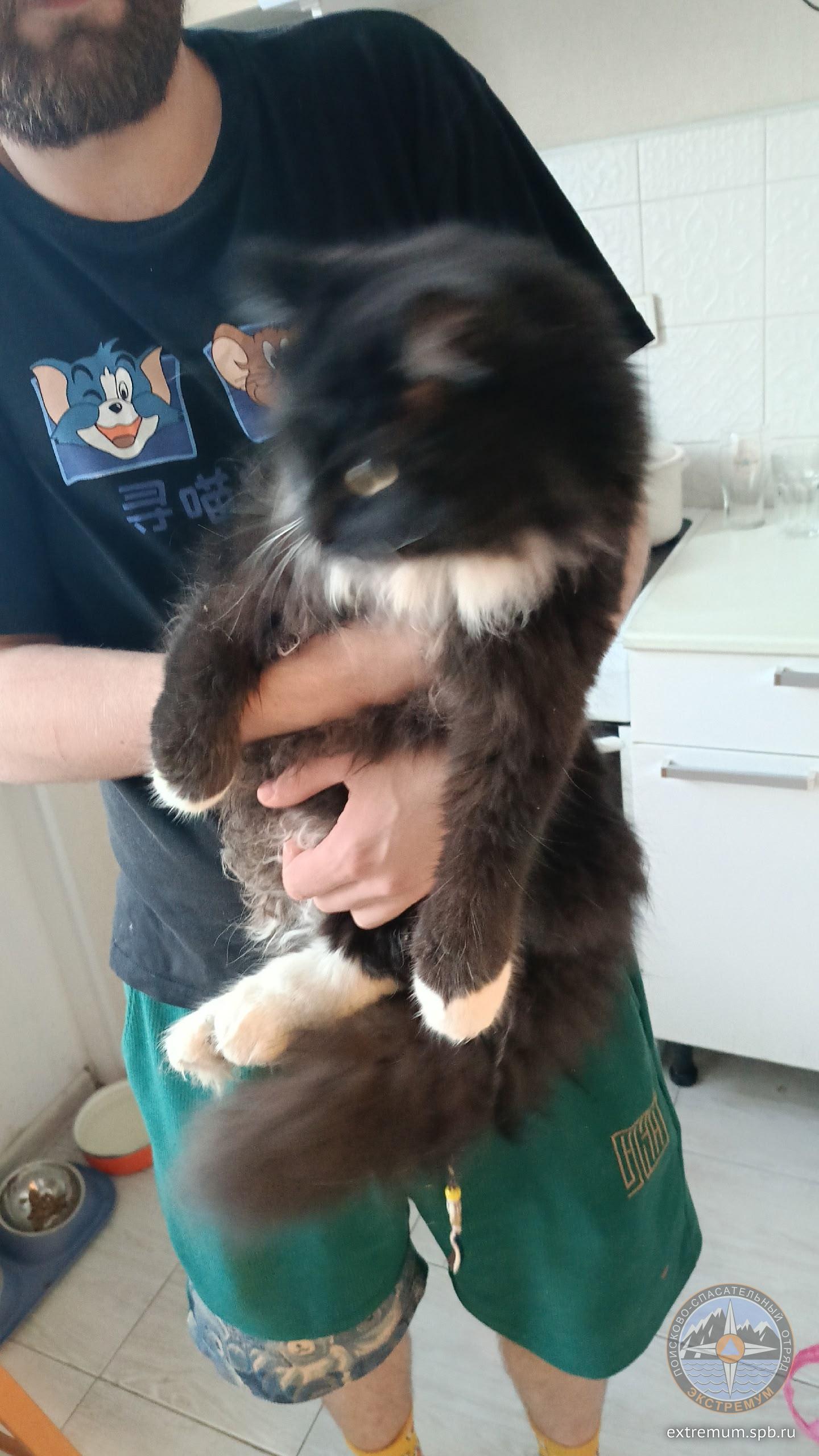 fUcm9r024L0gjVI9raoVknhPOre549PVQZjPG4KUEz3o7hPCD_f3dd1qXMNvuicPjQkD-0brGKdwbhdo2k0NsIWi.jpg