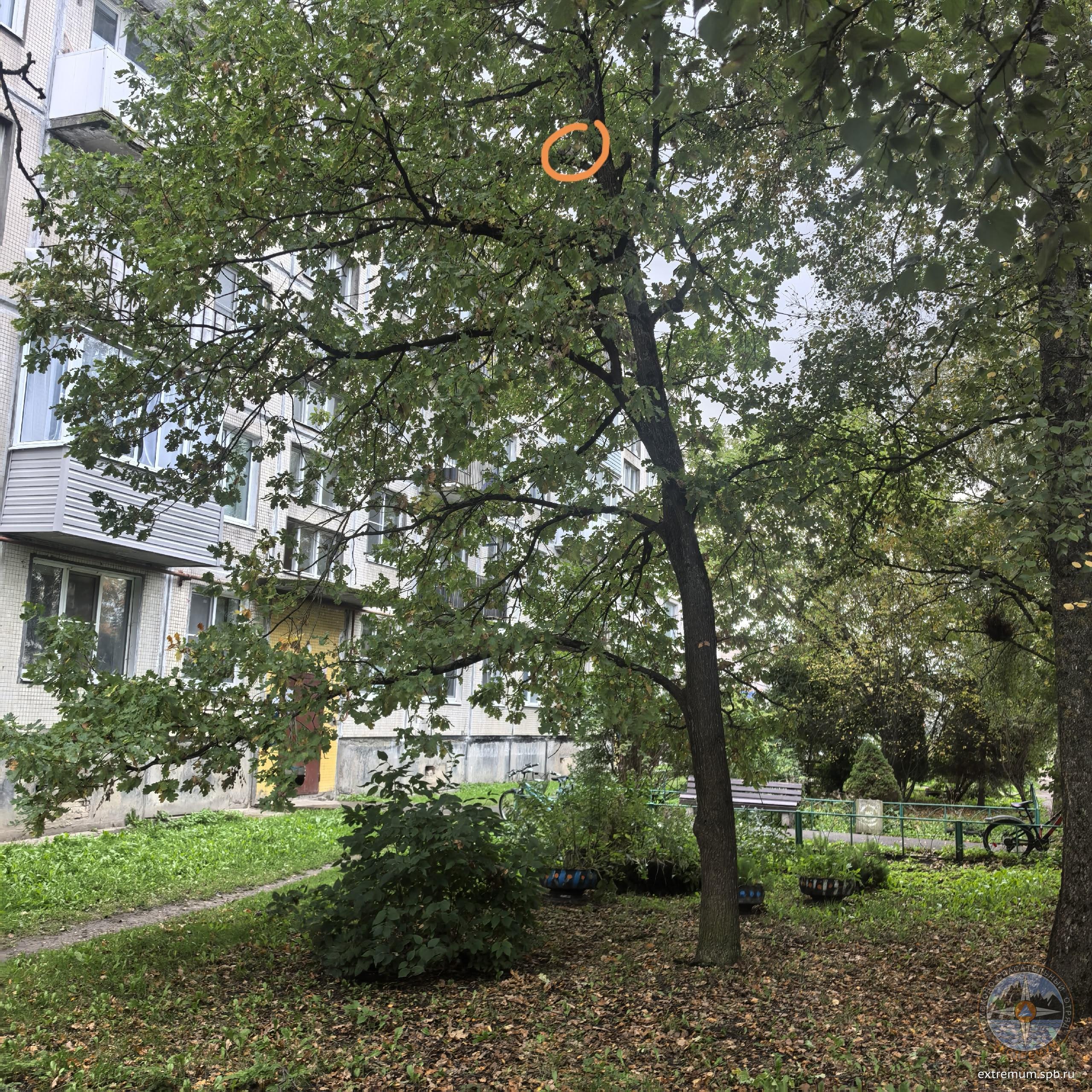 1AhsMBQhvB6fYYj7Wj4NoXaTePJMCKkKSAglrcuWpgWv2X-qhiSQ50A_jvYcojevFUg-WdN5uwq4EHZLDNgUs4x7.jpg