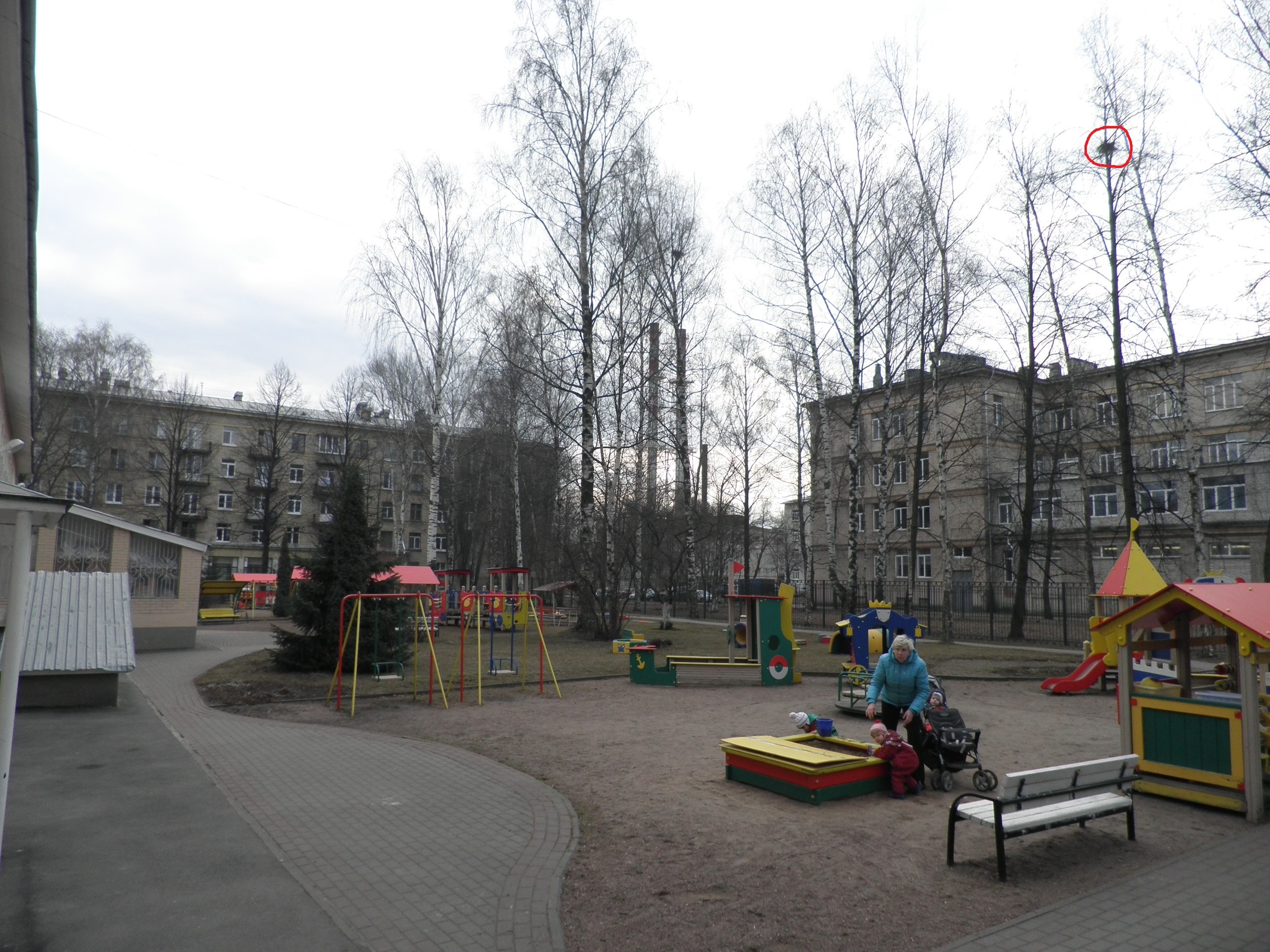 P4060003.JPG