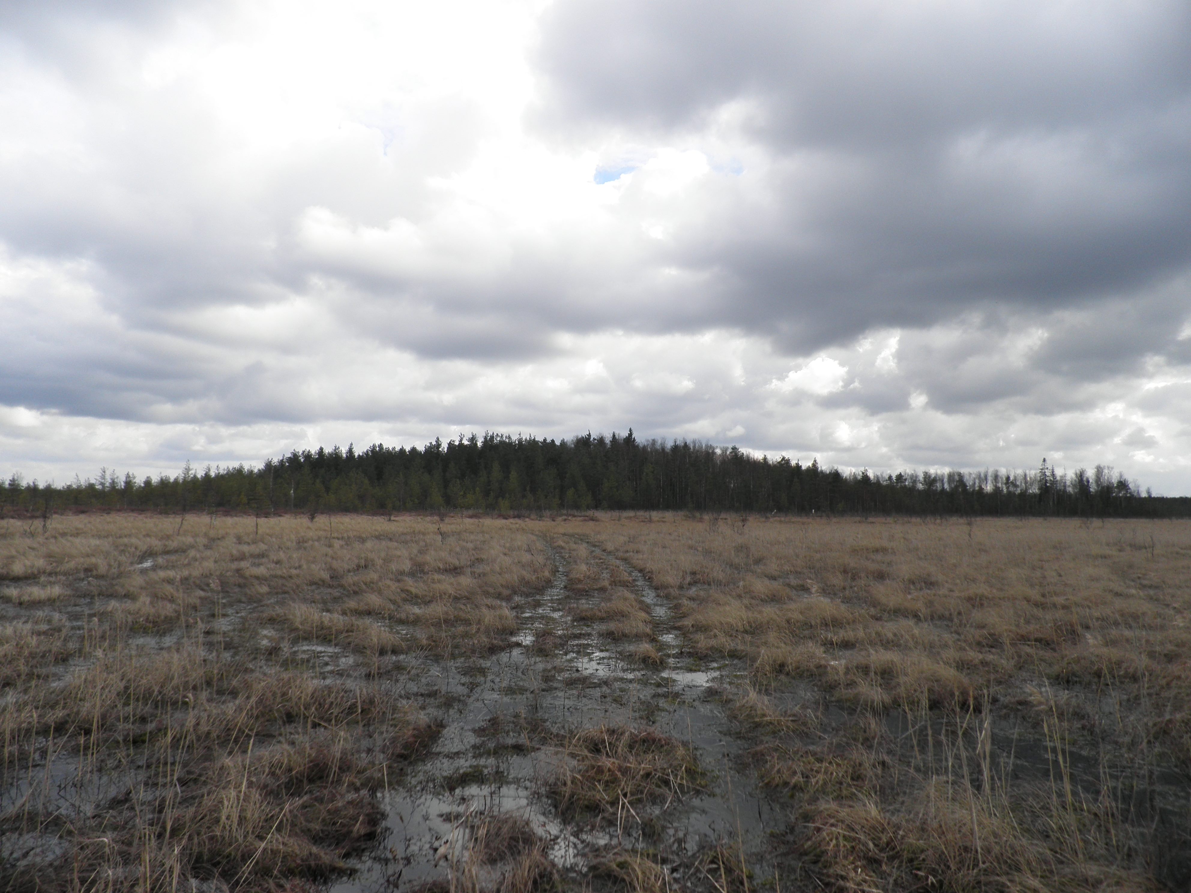 P4210014.JPG
