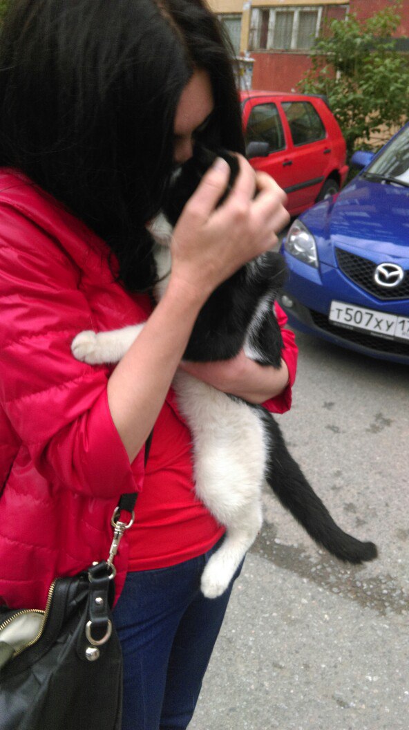 Кошка на Петергофском.jpg