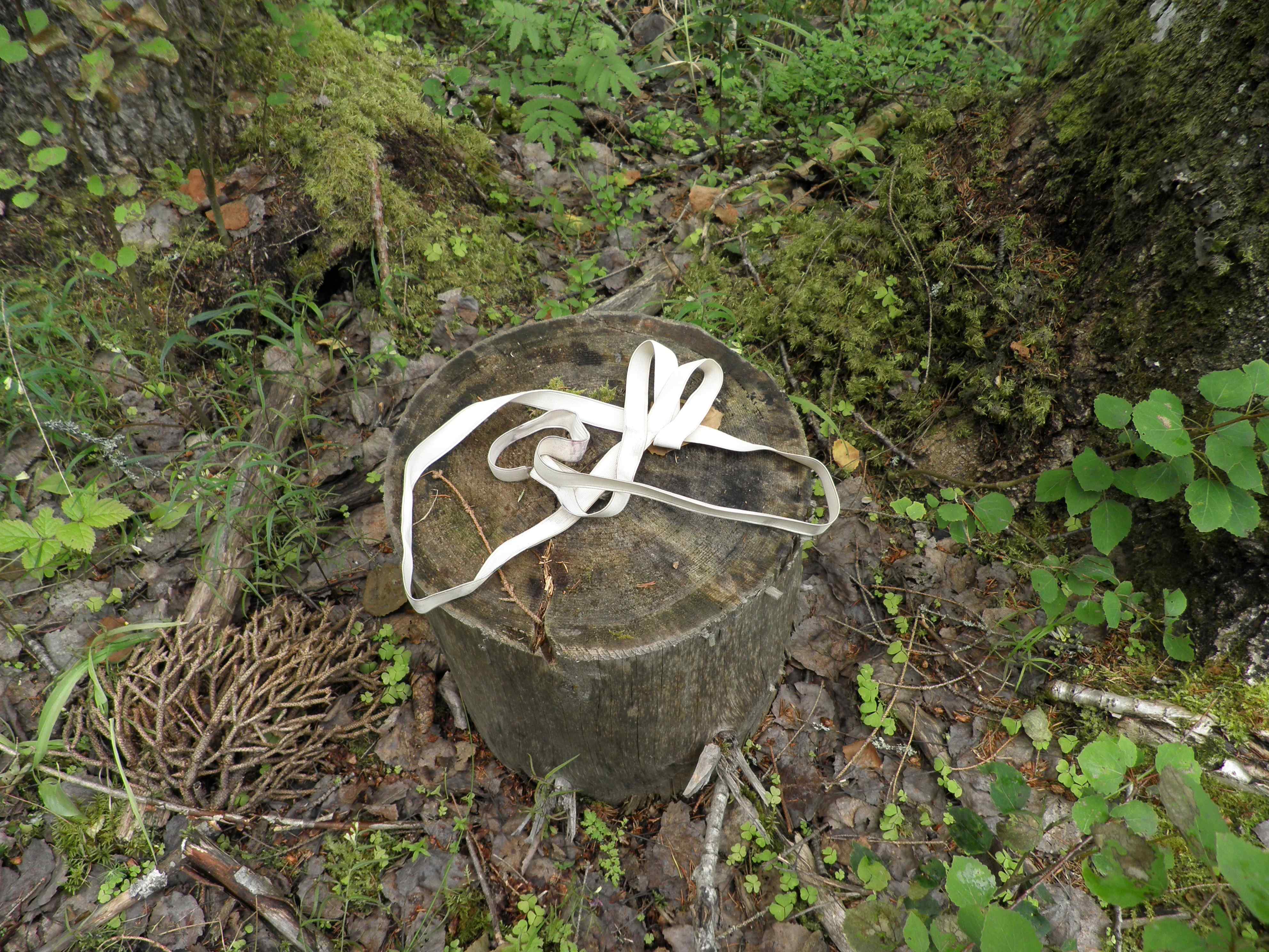 P7100009.JPG