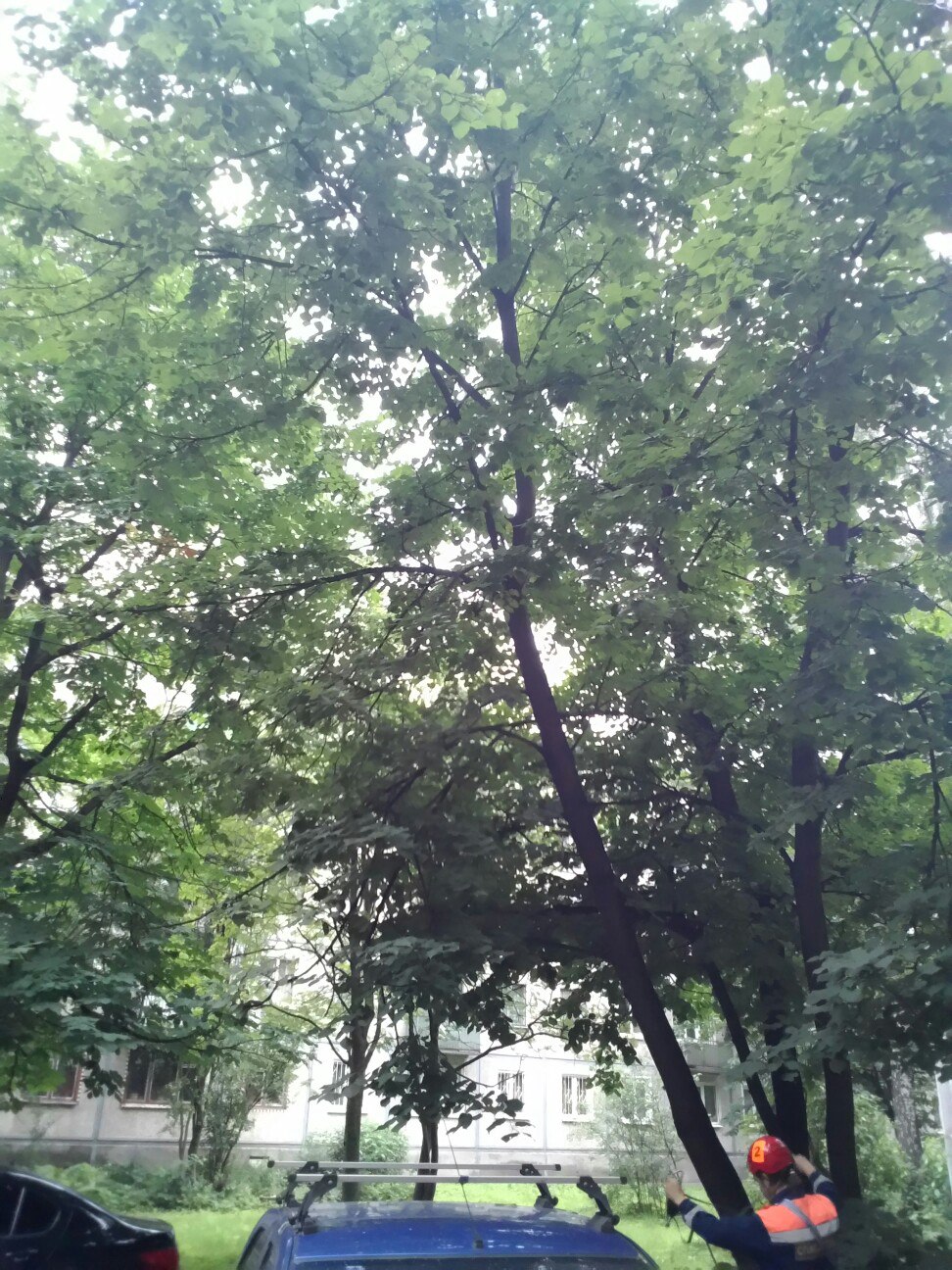 228-pbAK1sw.jpg