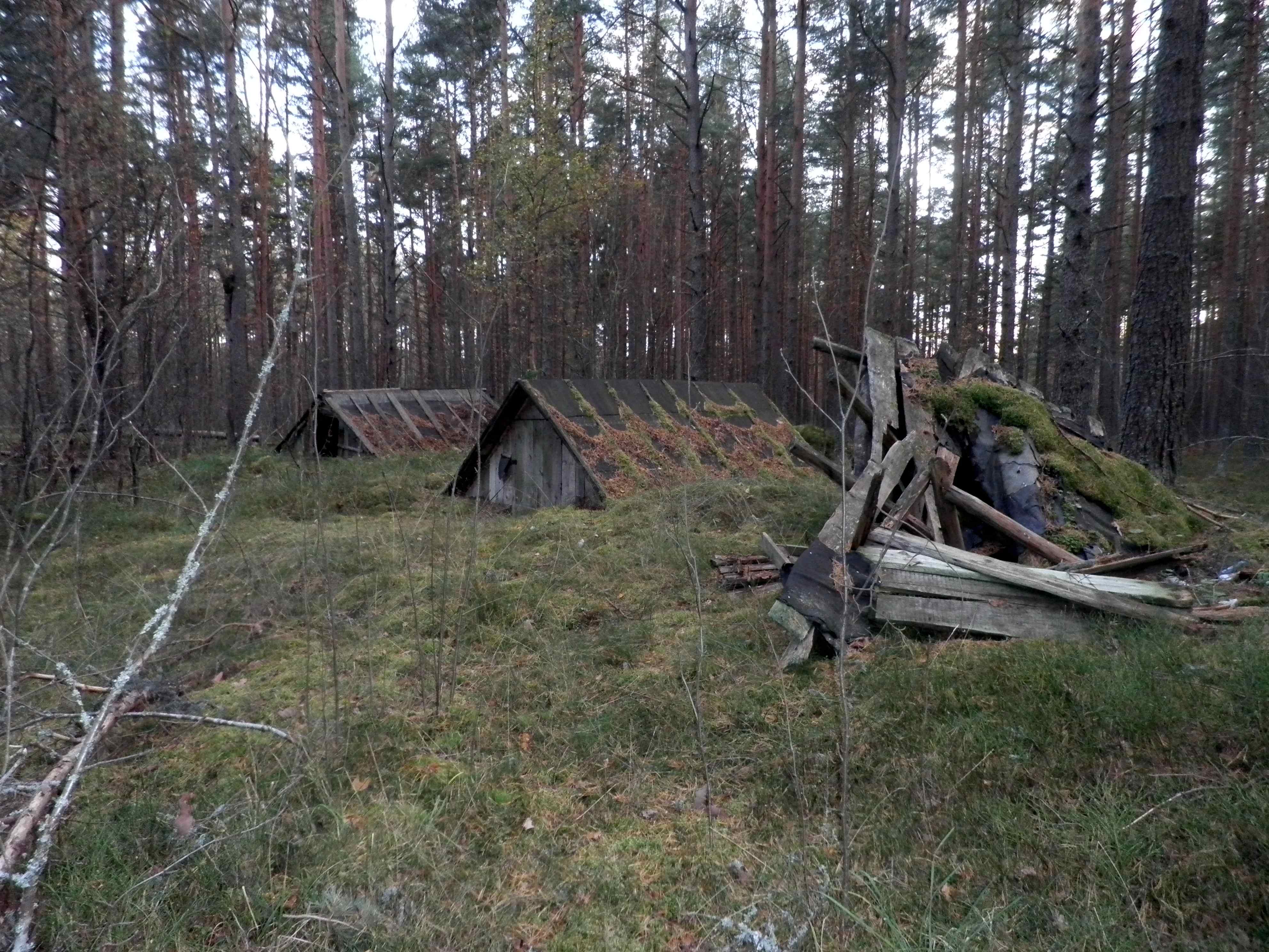 PA060060.JPG