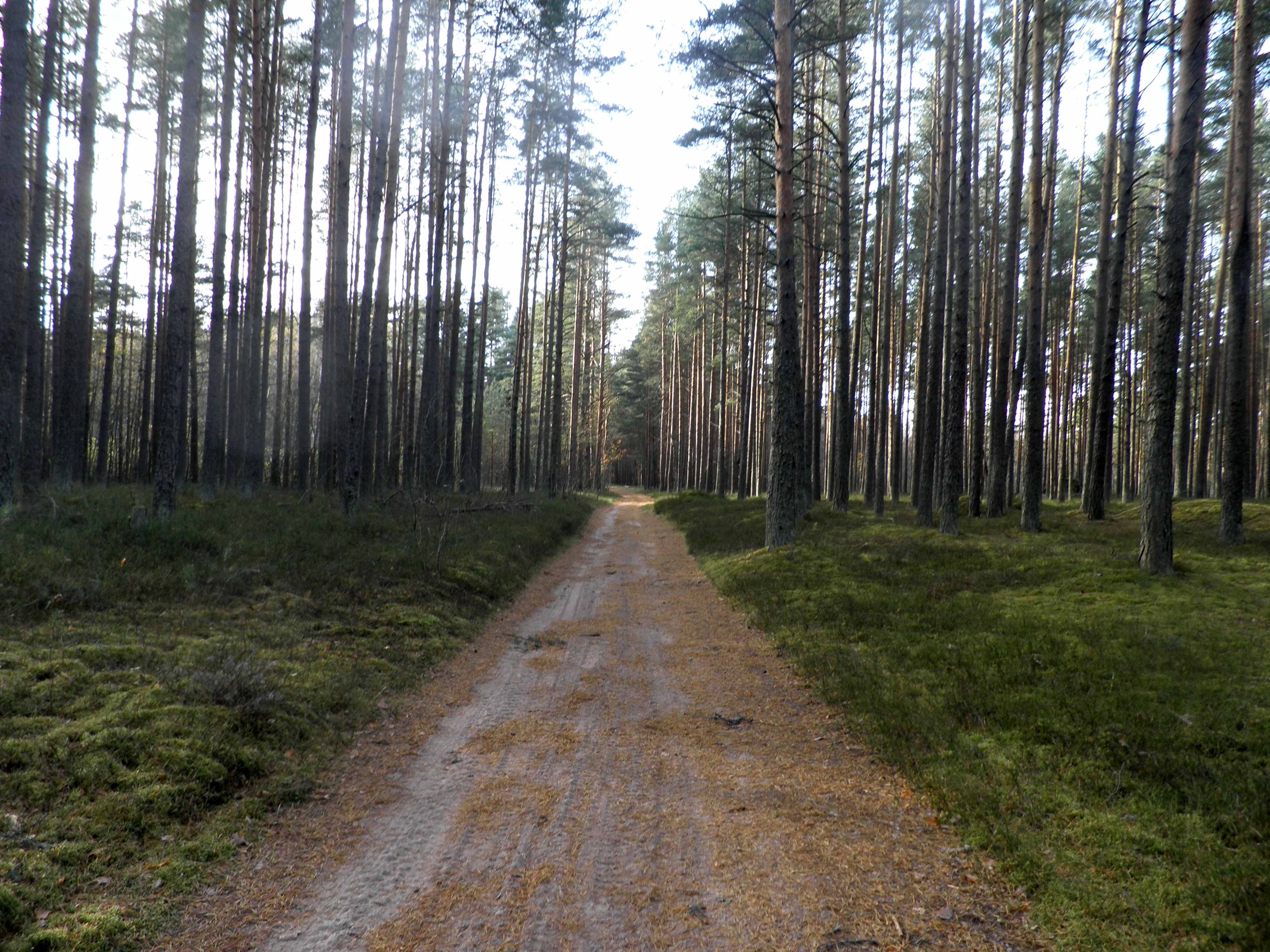 PA060044.JPG