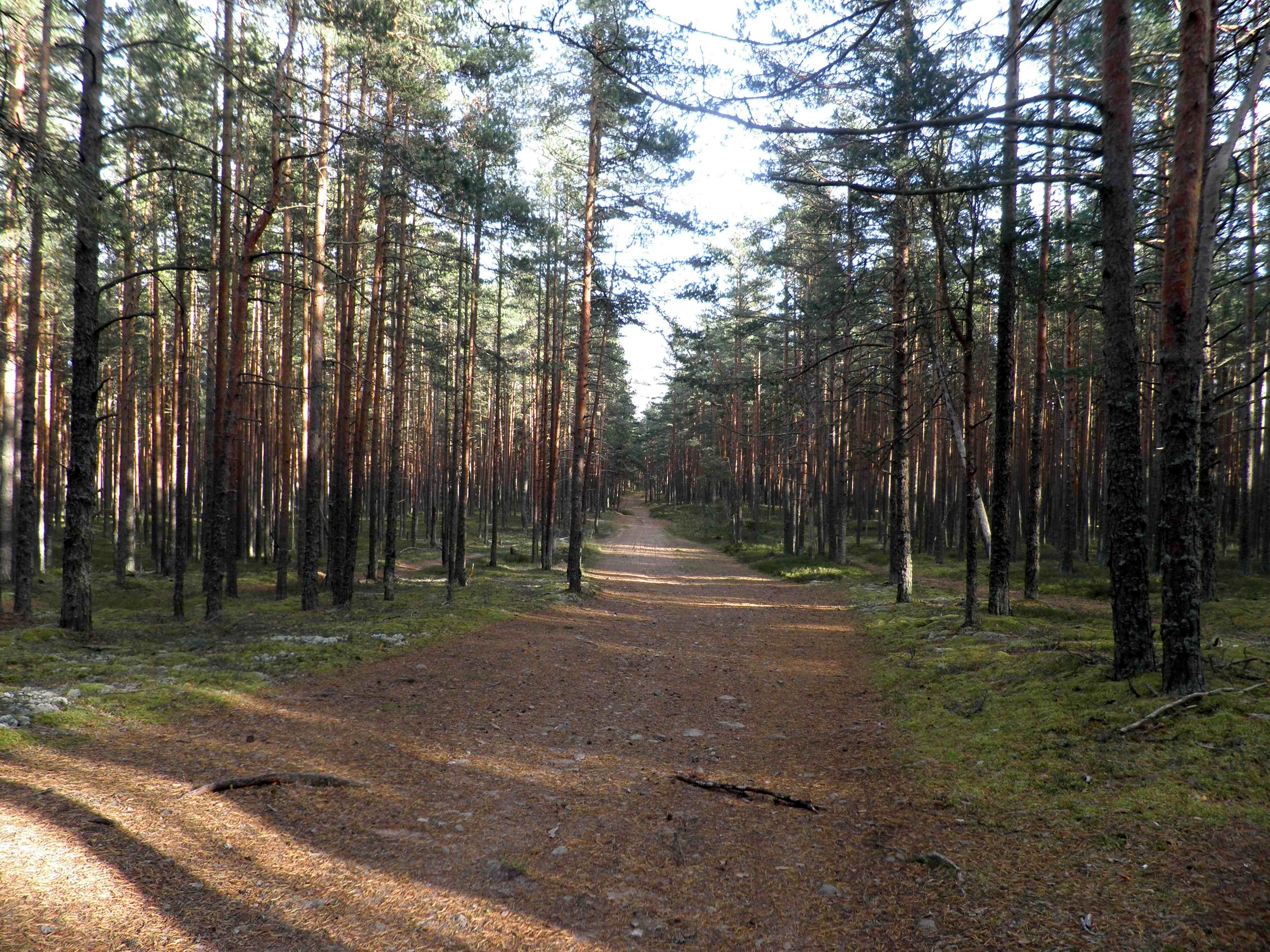 PA060048.JPG