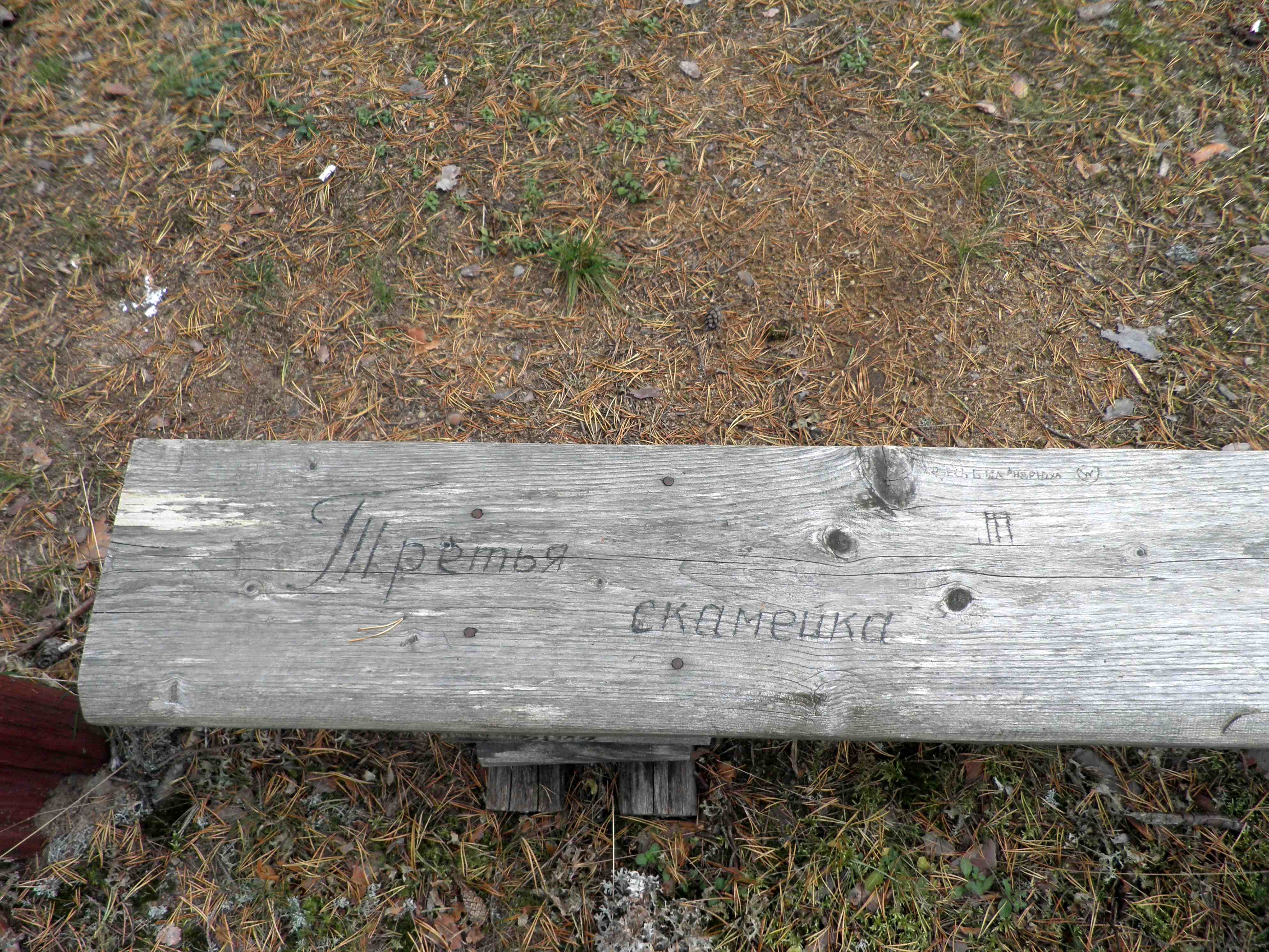 PA060051.JPG