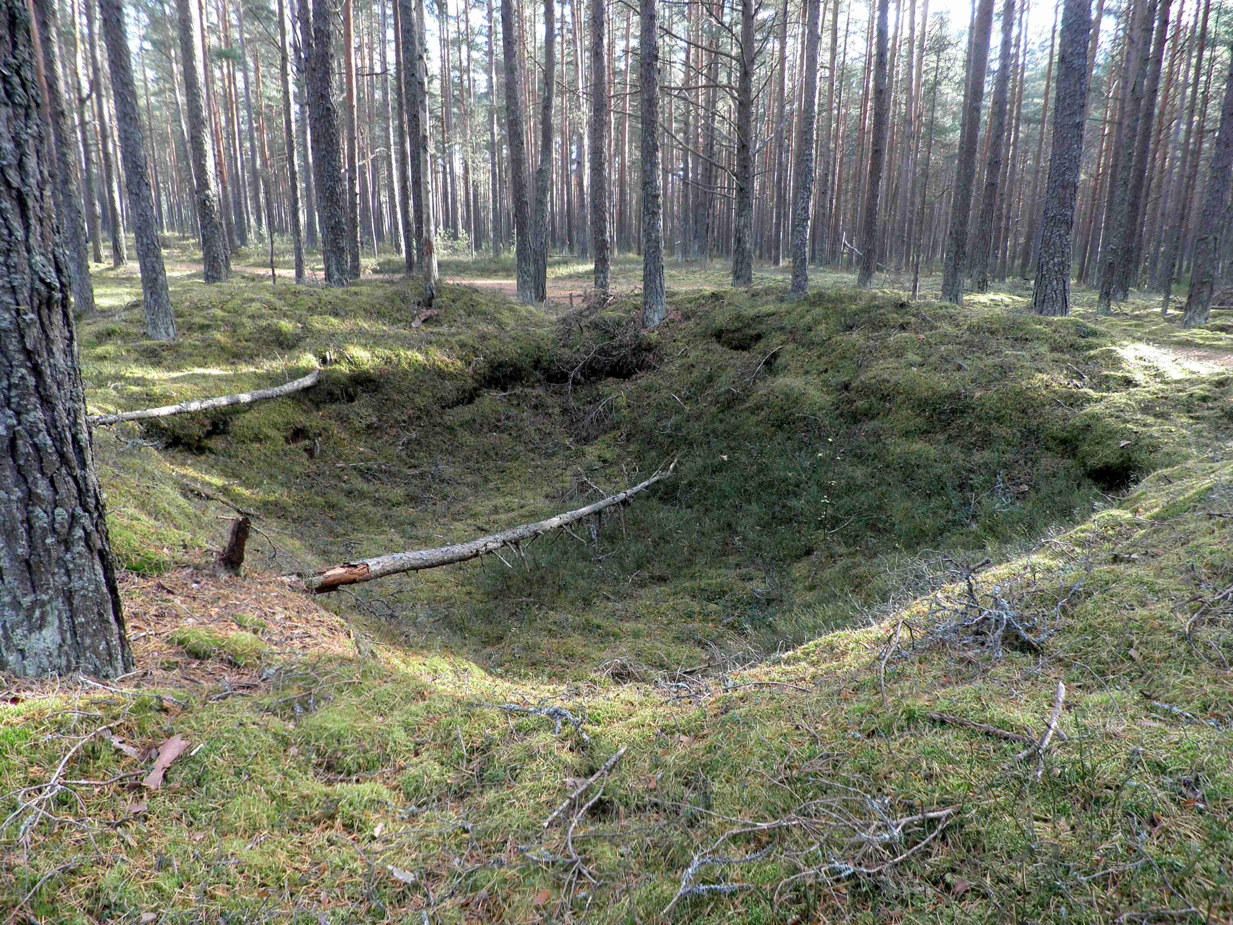 PA060046.JPG