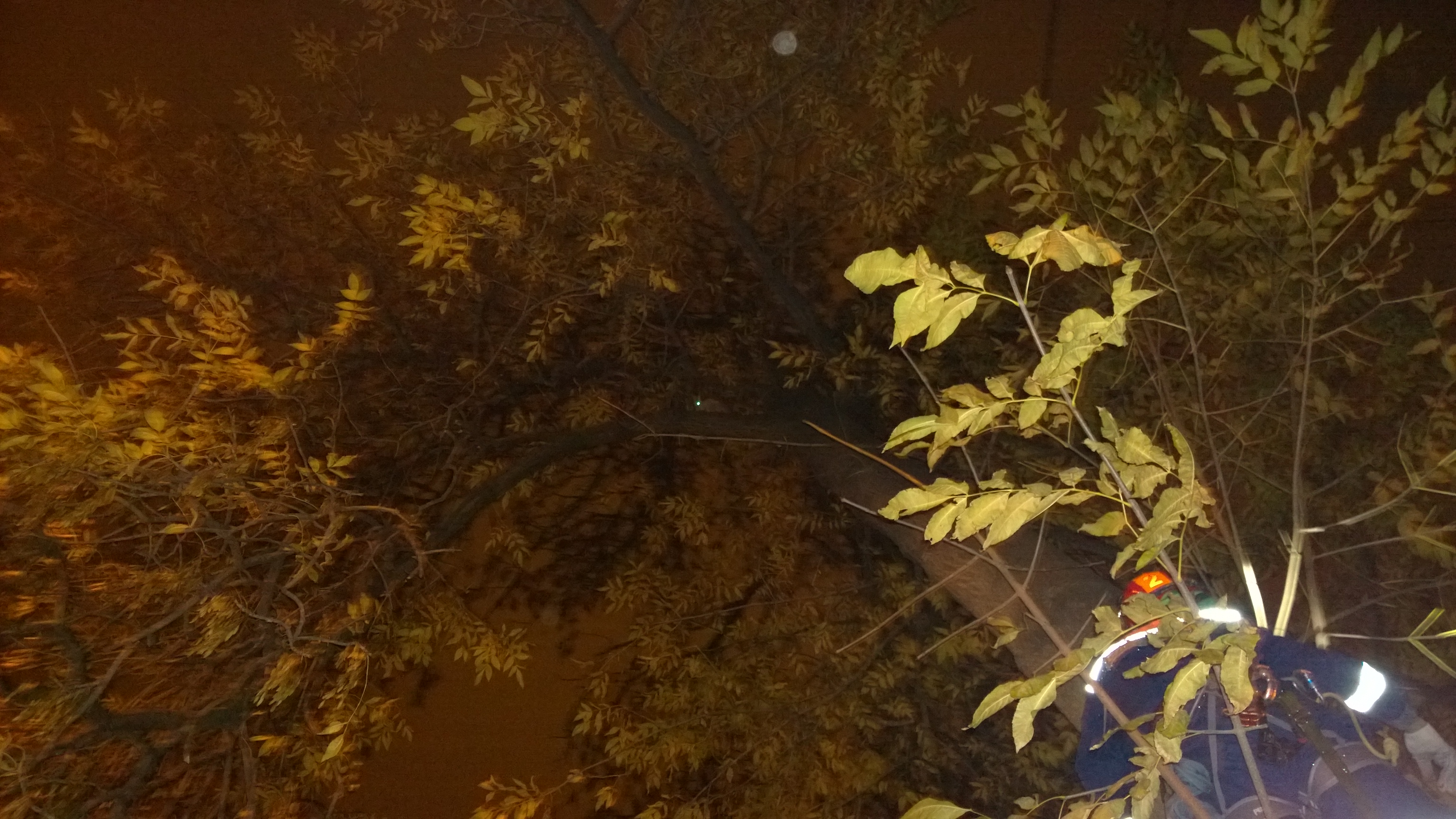 WP_20161013_19_43_32_Pro.jpg
