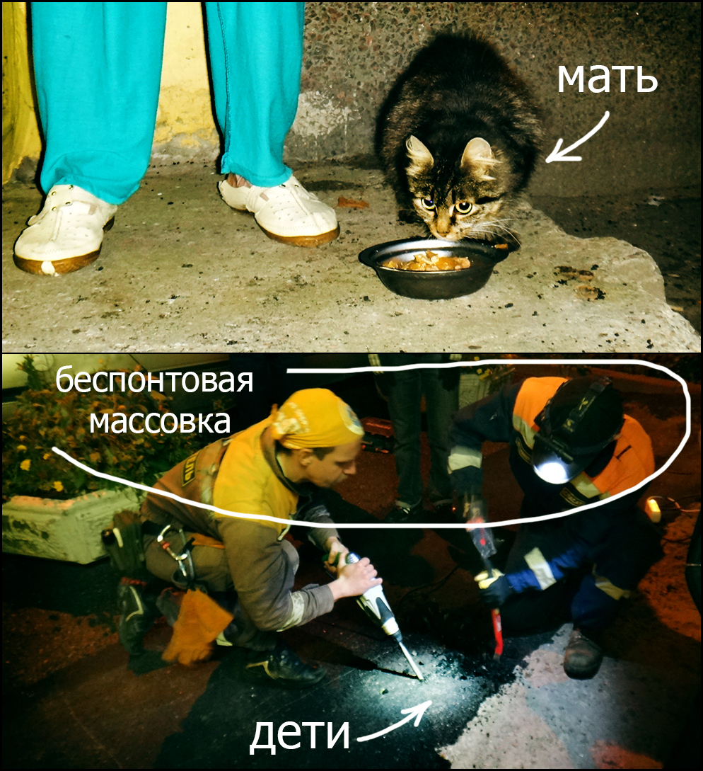 3 кош.jpg