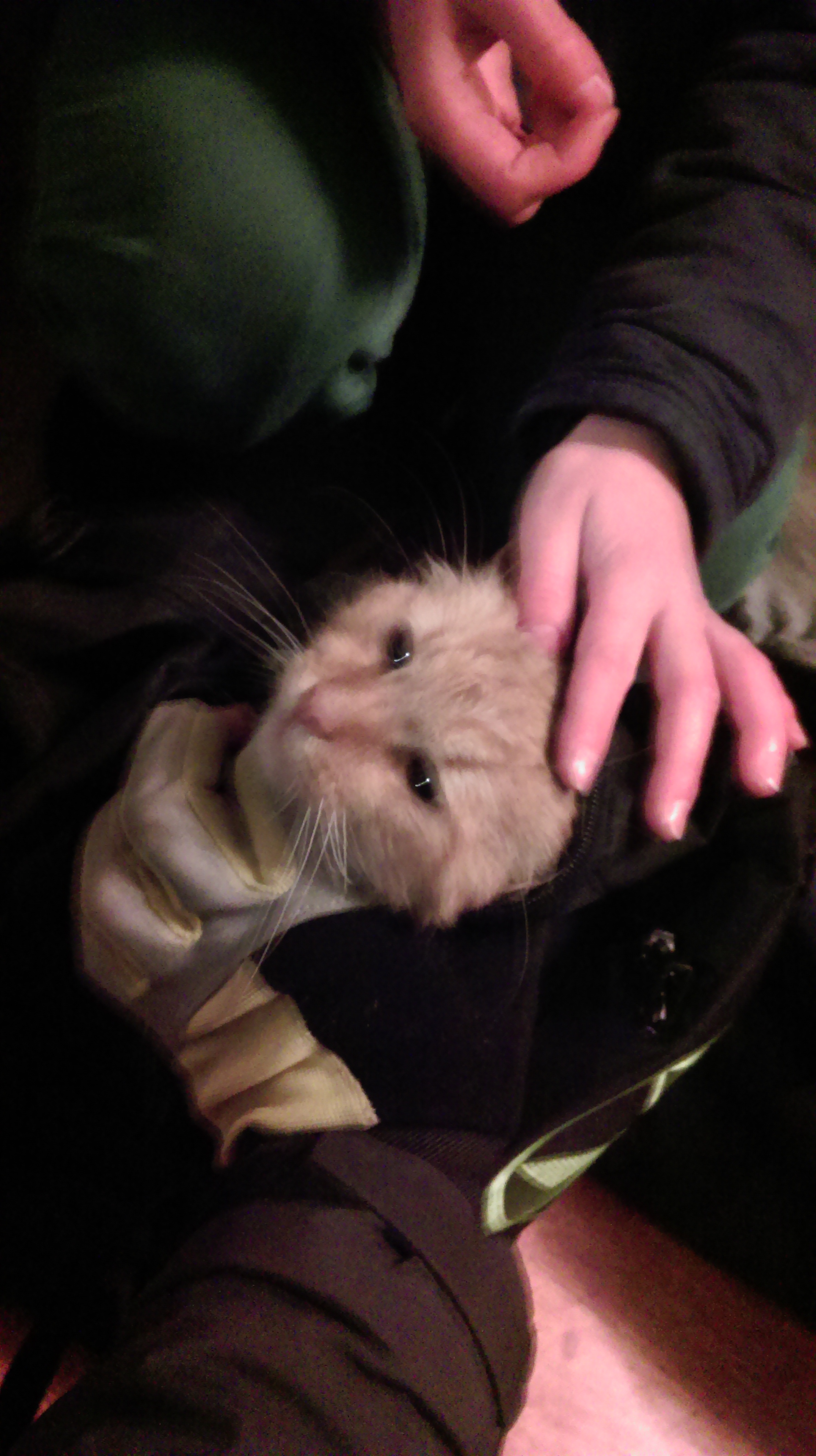 IMAG0963.jpg