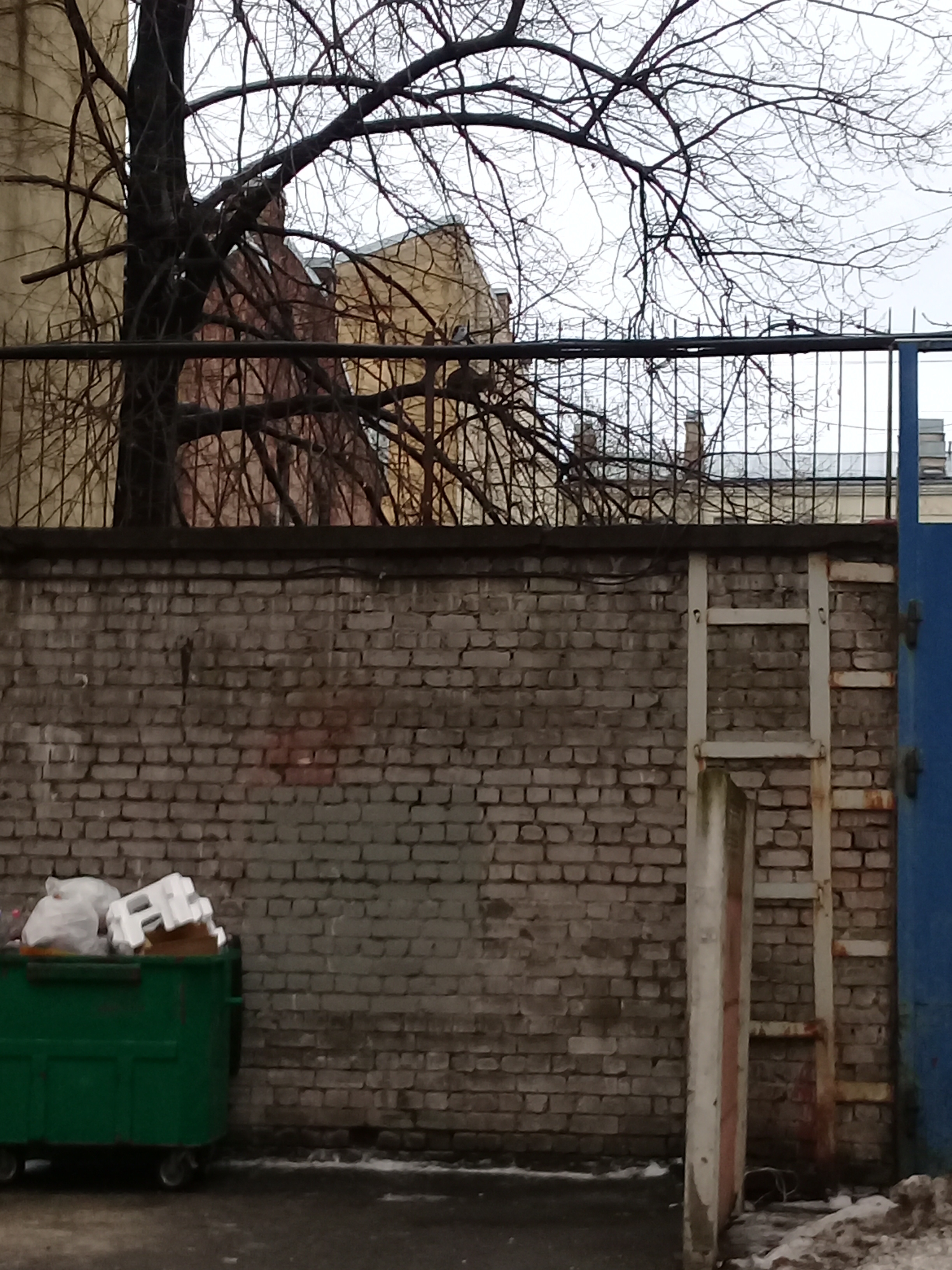 20170123_154929.jpg