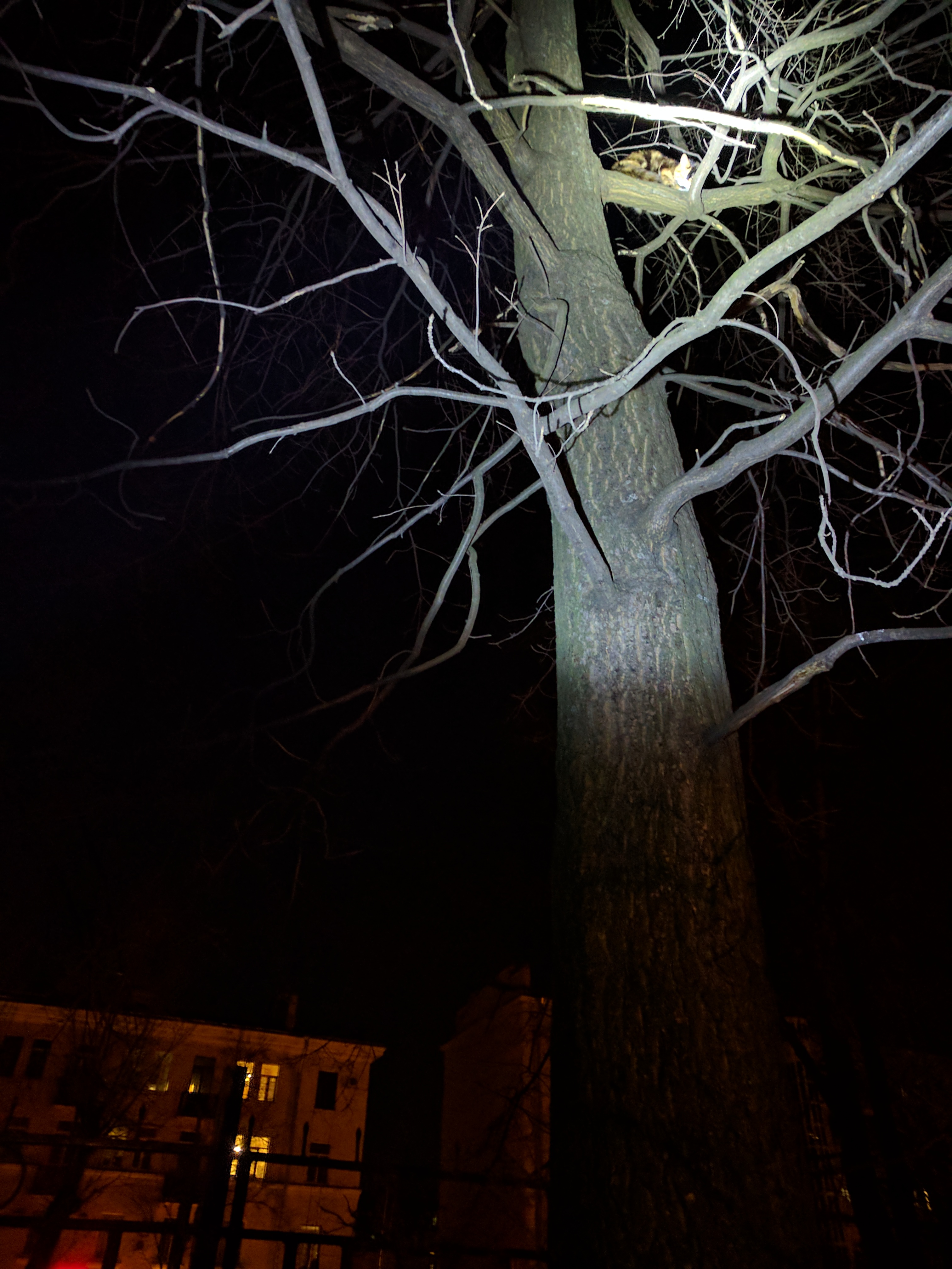 IMG_20170215_230917.jpg
