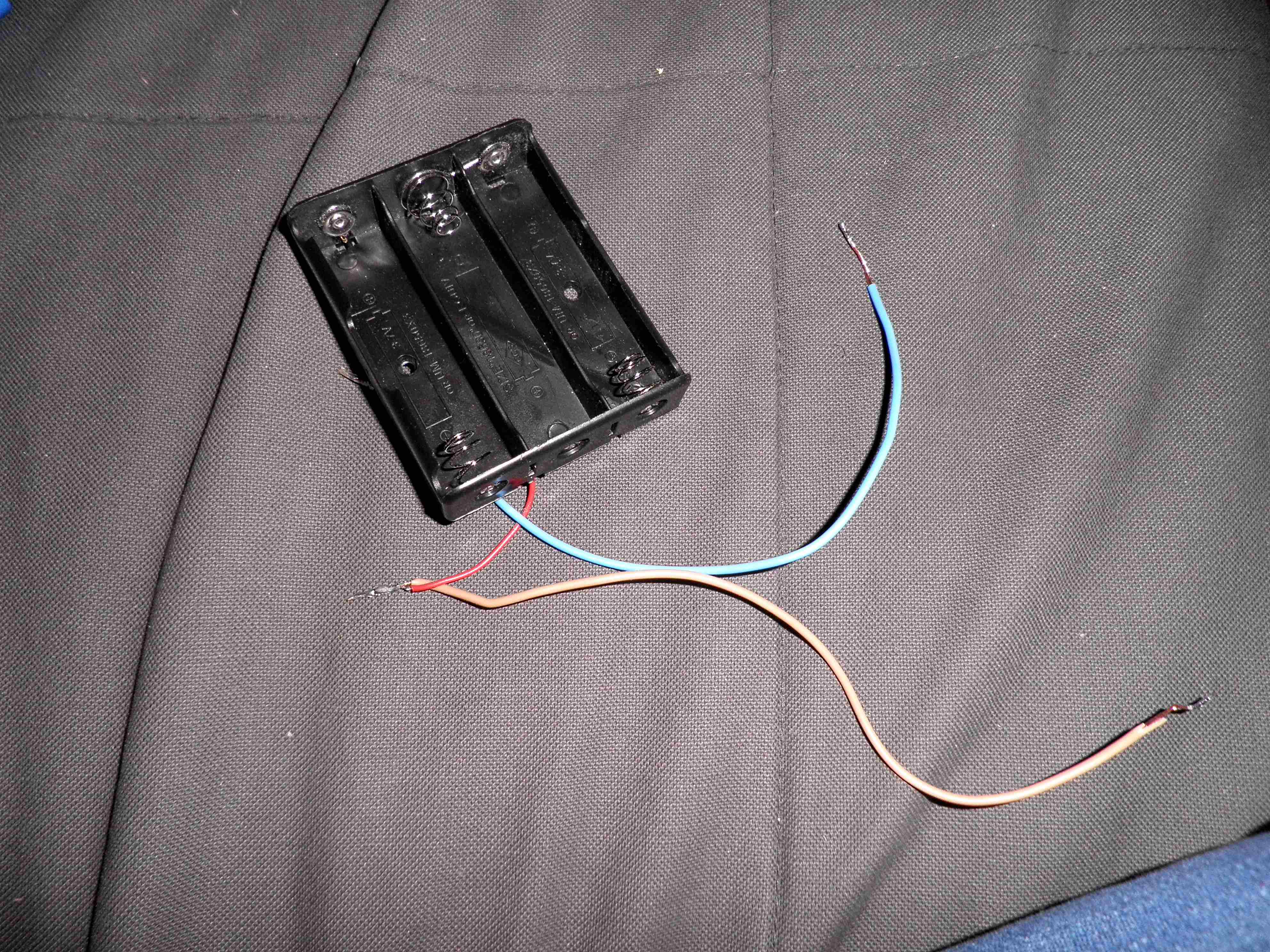 P3190005.JPG