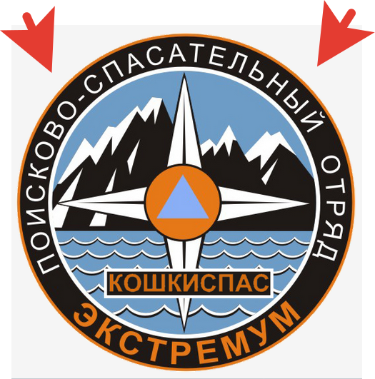 logo catrescue.png