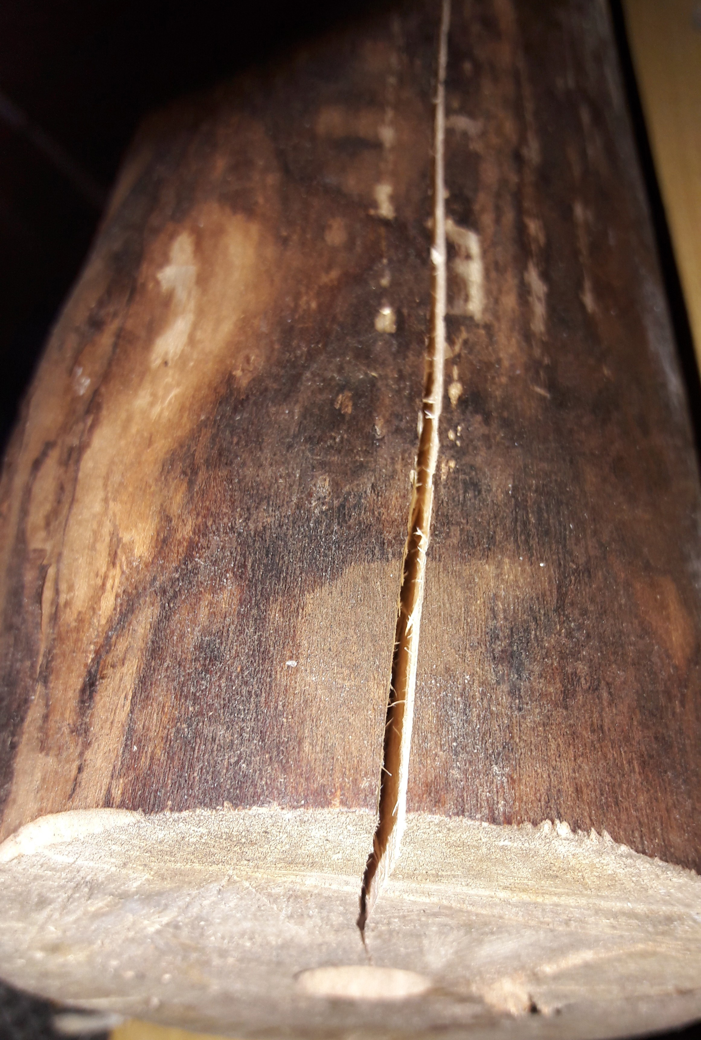 20170411_092644.jpg
