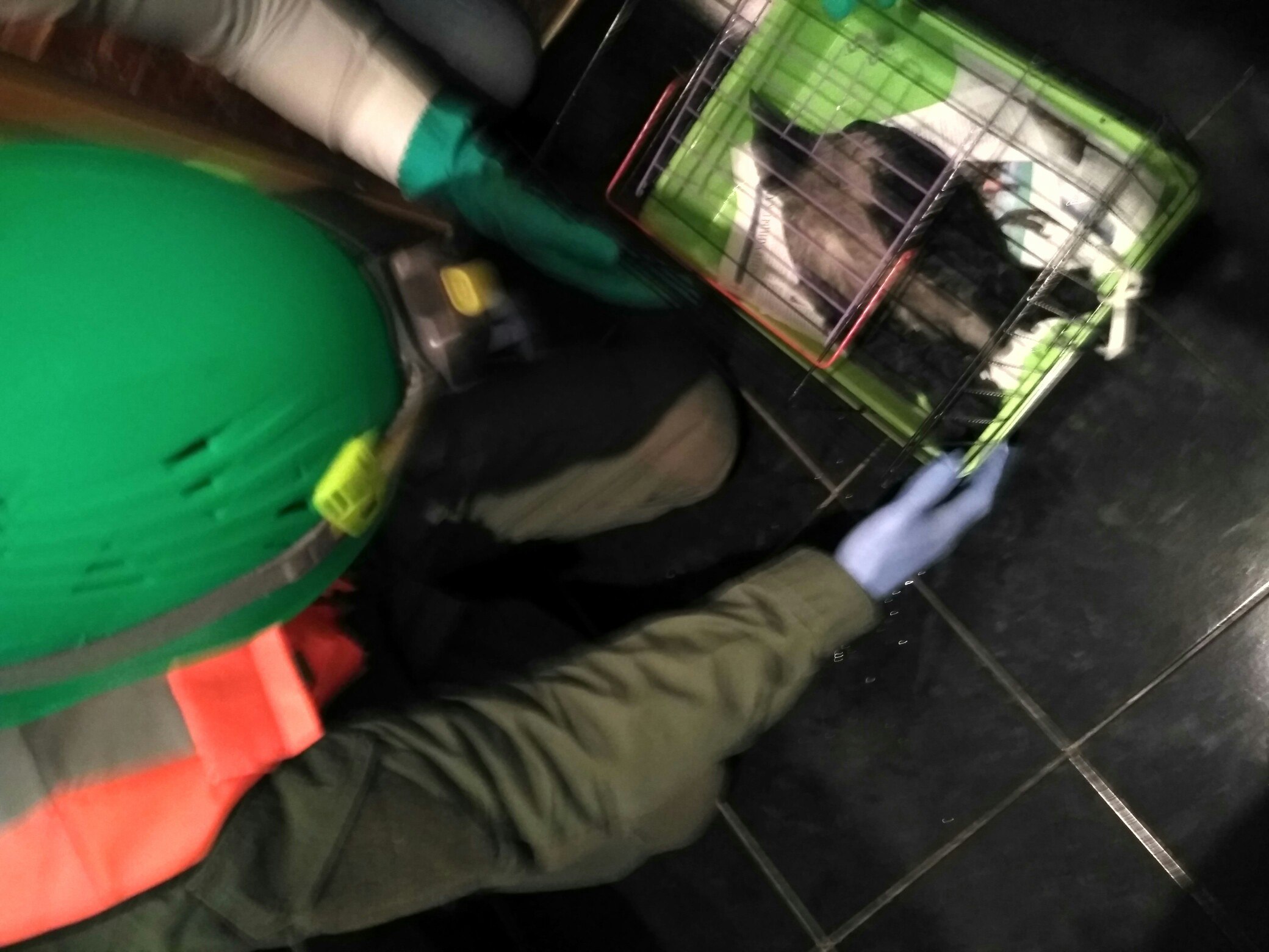 fmaLk3f9TgU.jpg
