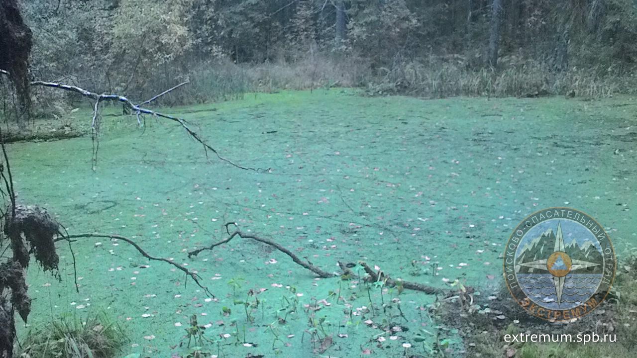 P_20170926_164930_BF.jpg