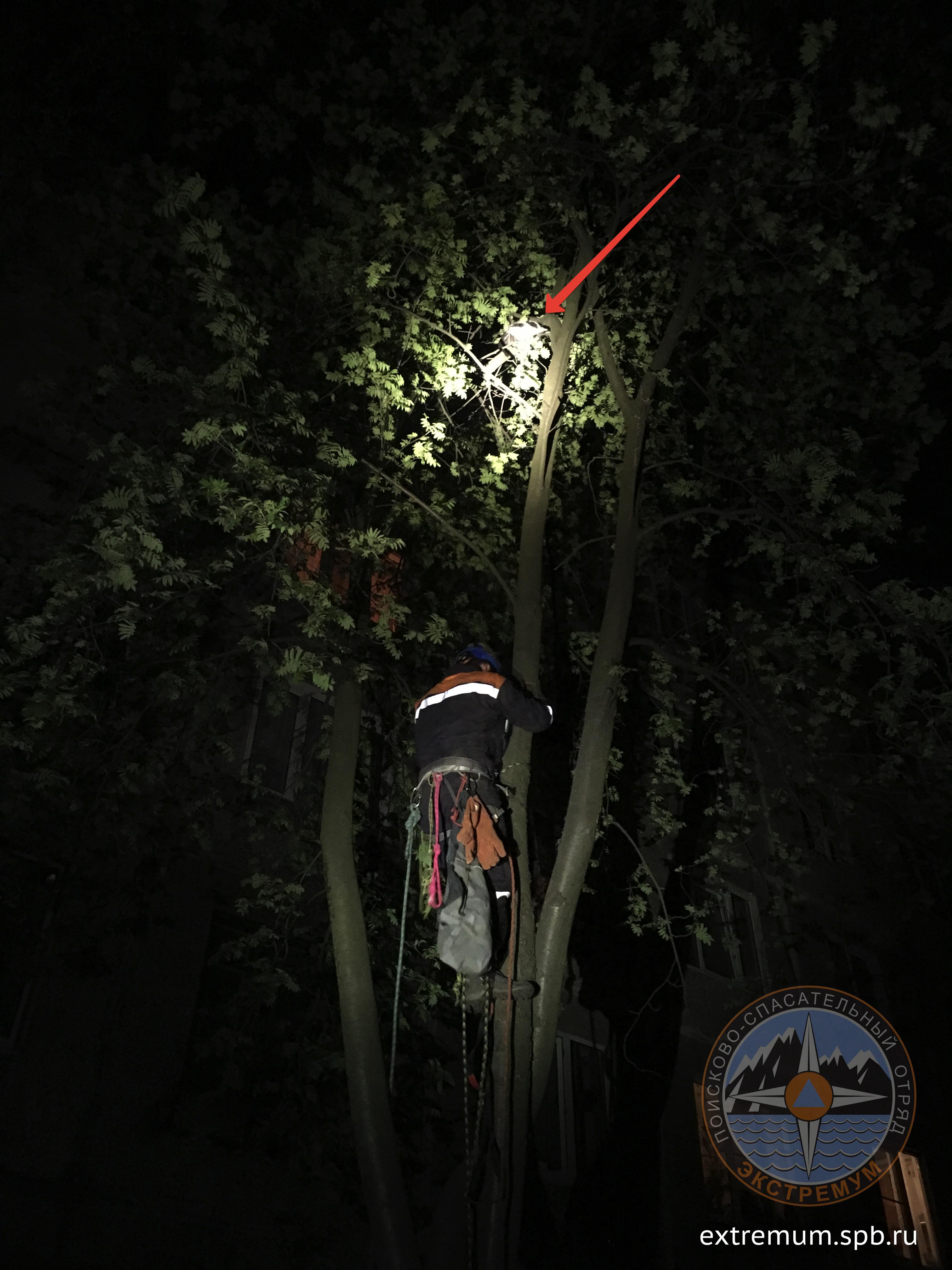 2018-05-12 00-27-14.JPG