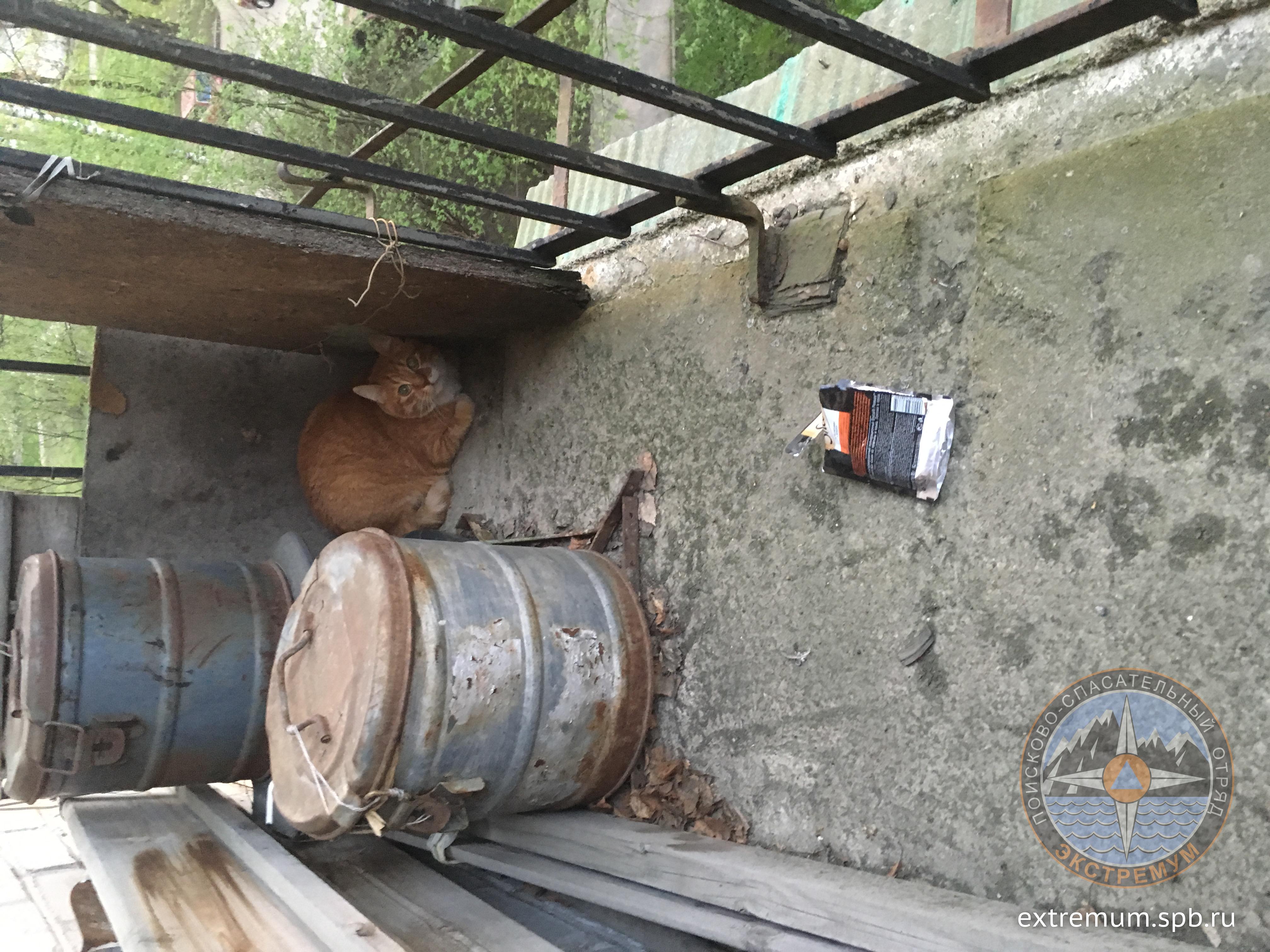 2018-05-11 21-20-46 (1).JPG