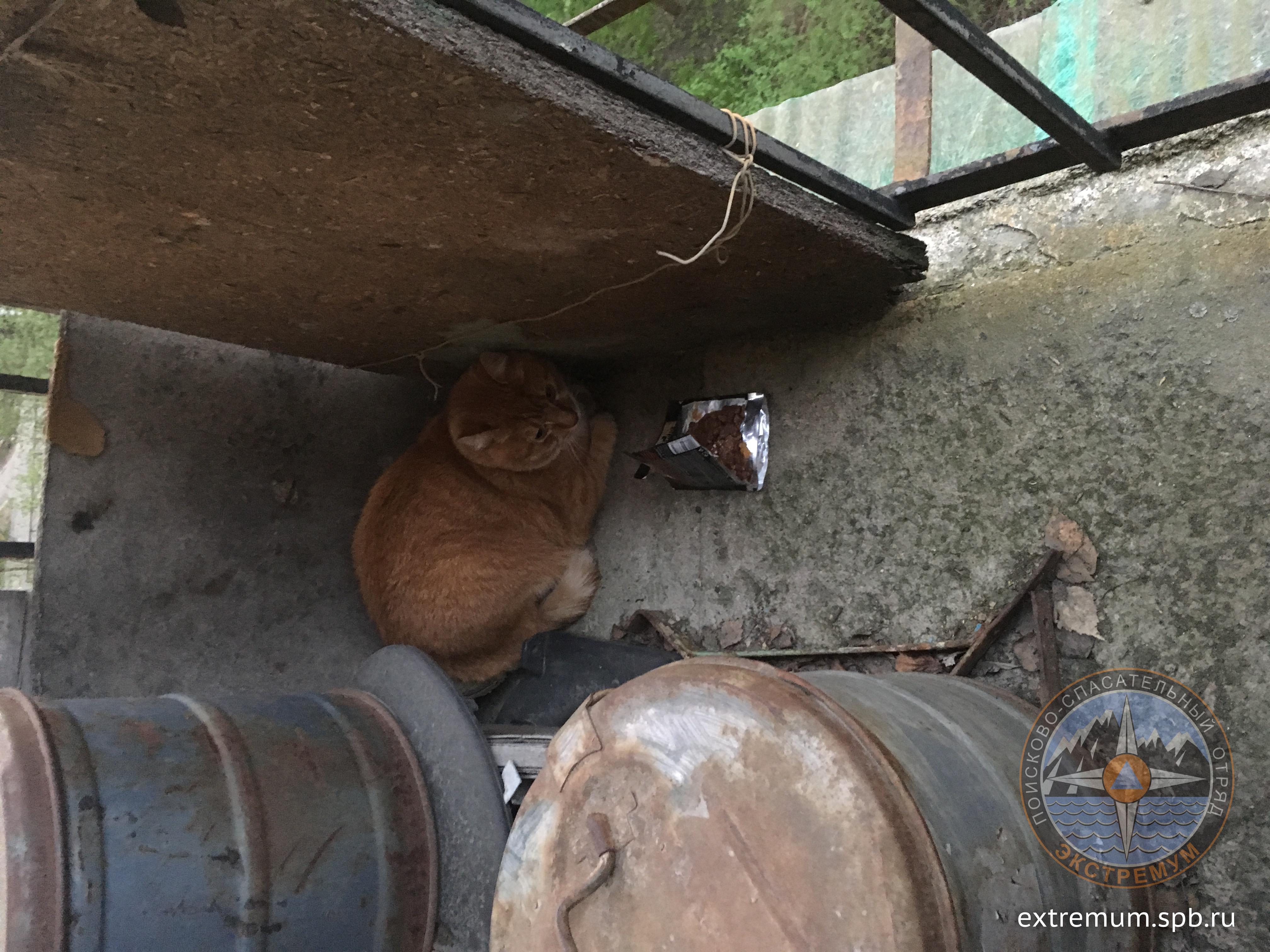 2018-05-11 21-22-54.JPG