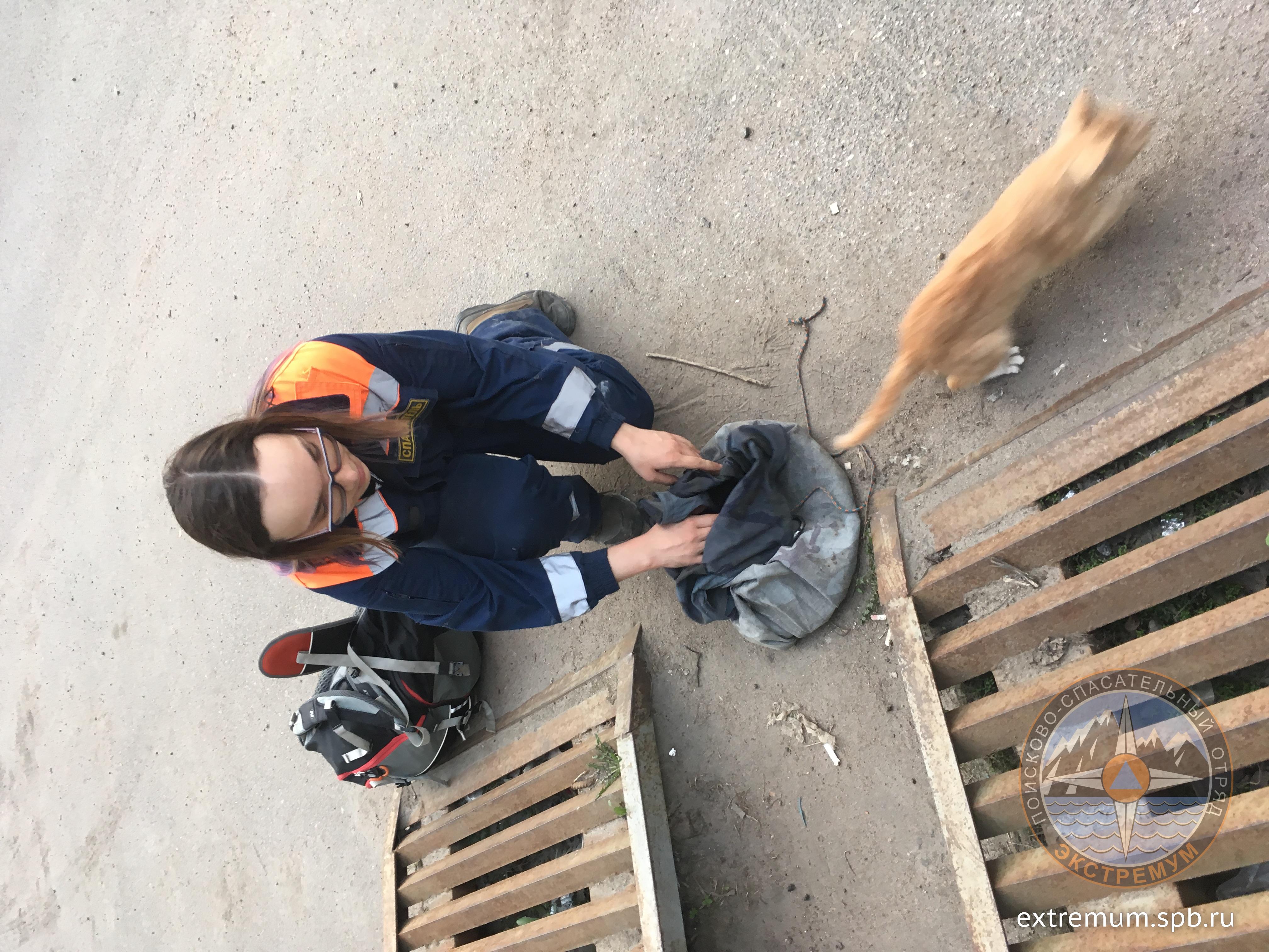 2018-05-11 20-24-11.JPG