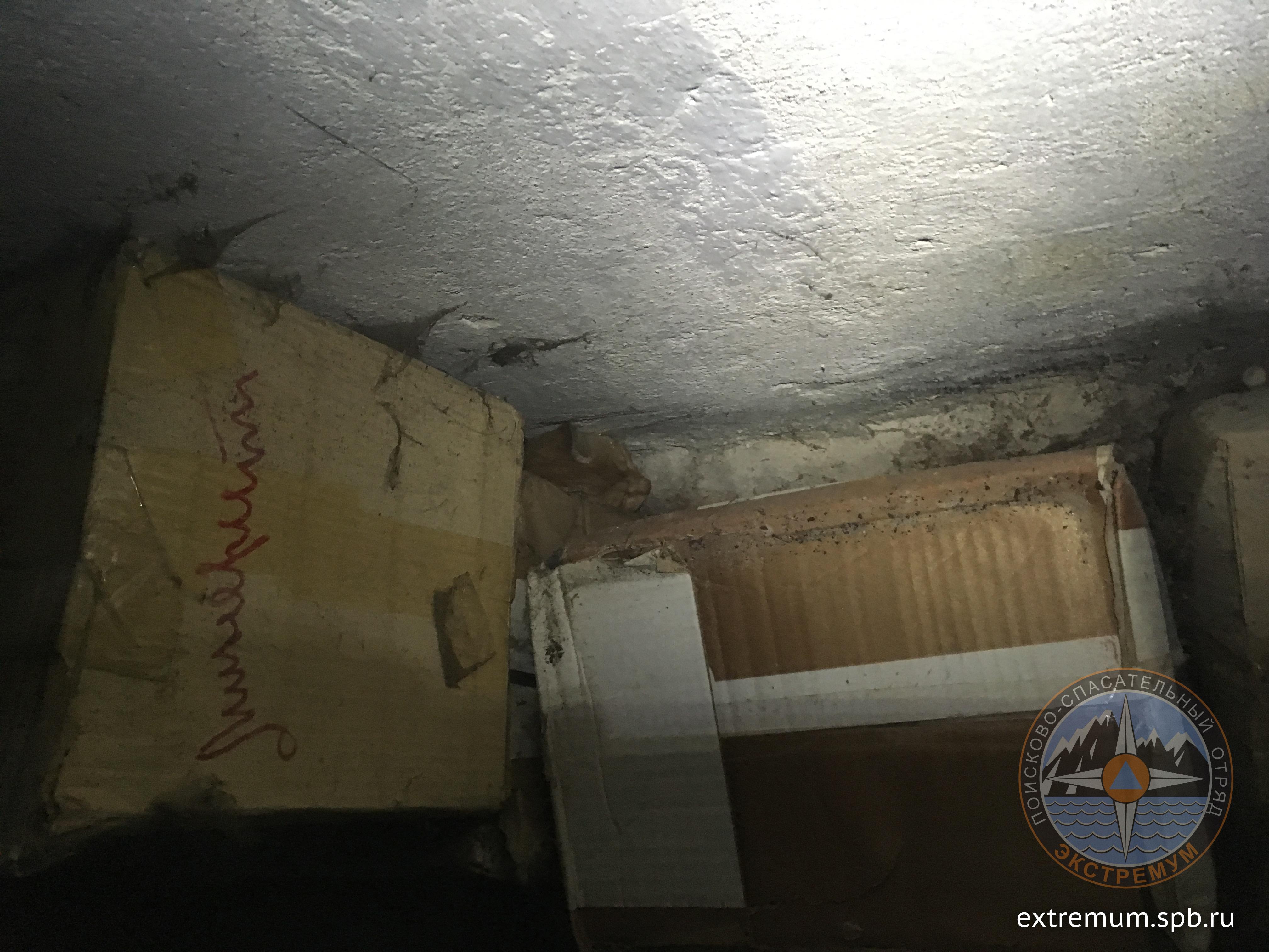 2018-05-11 20-05-00.JPG