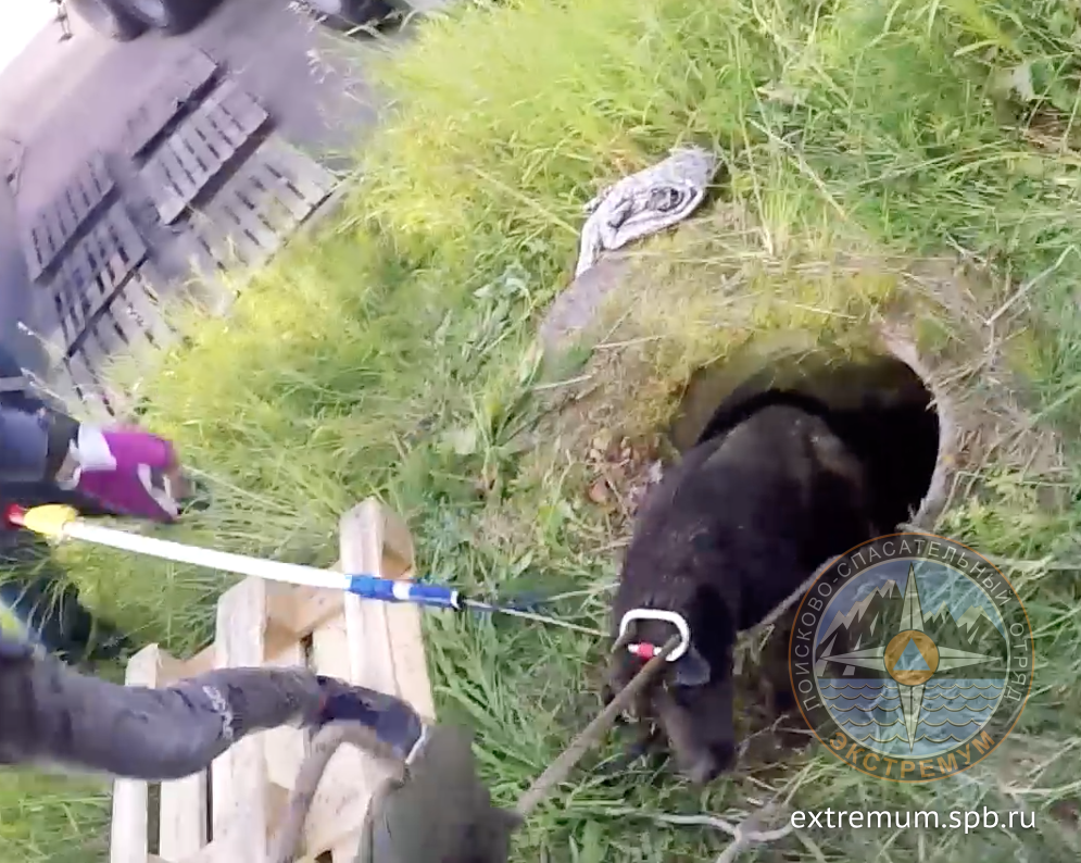 Screen Shot 2018-07-12 at 22.21.54.png