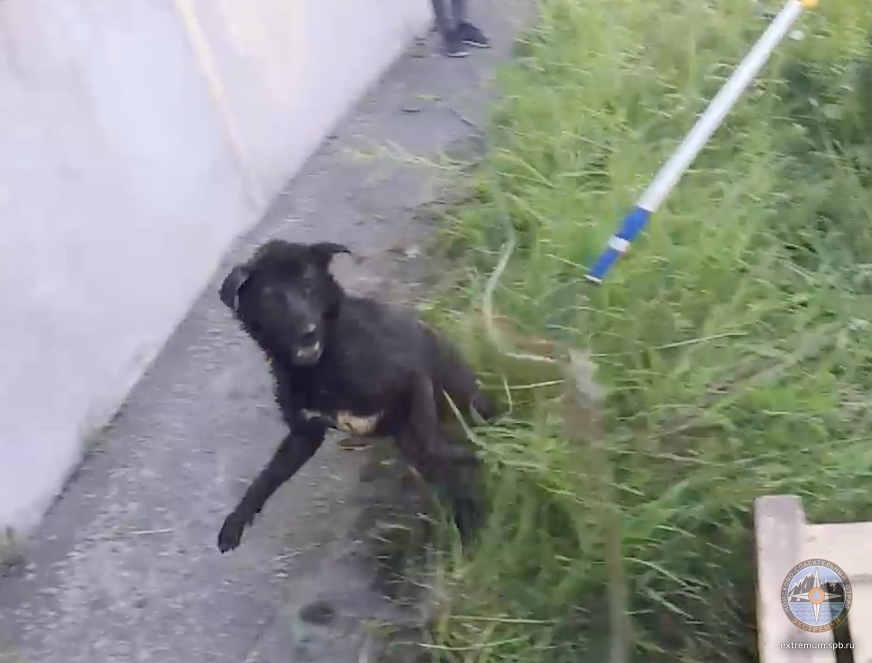 Screen Shot 2018-07-12 at 22.24.17.png