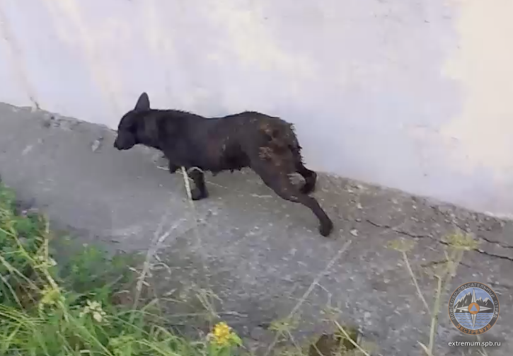 Screen Shot 2018-07-12 at 22.24.46.png