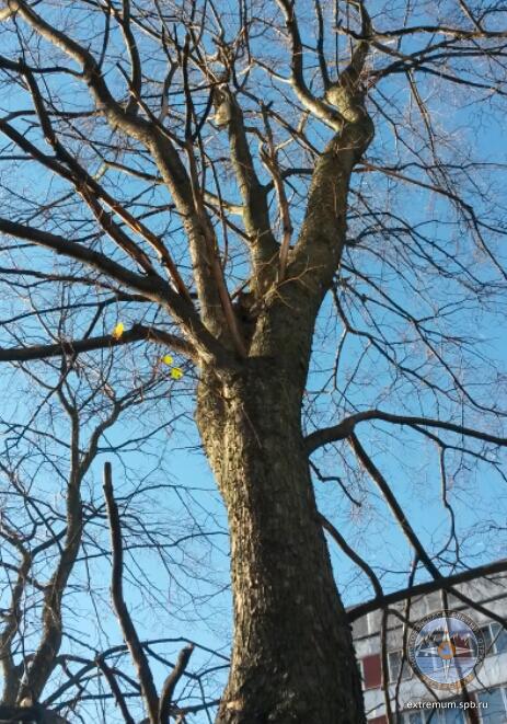 2018-10-29 16.17.10.jpg